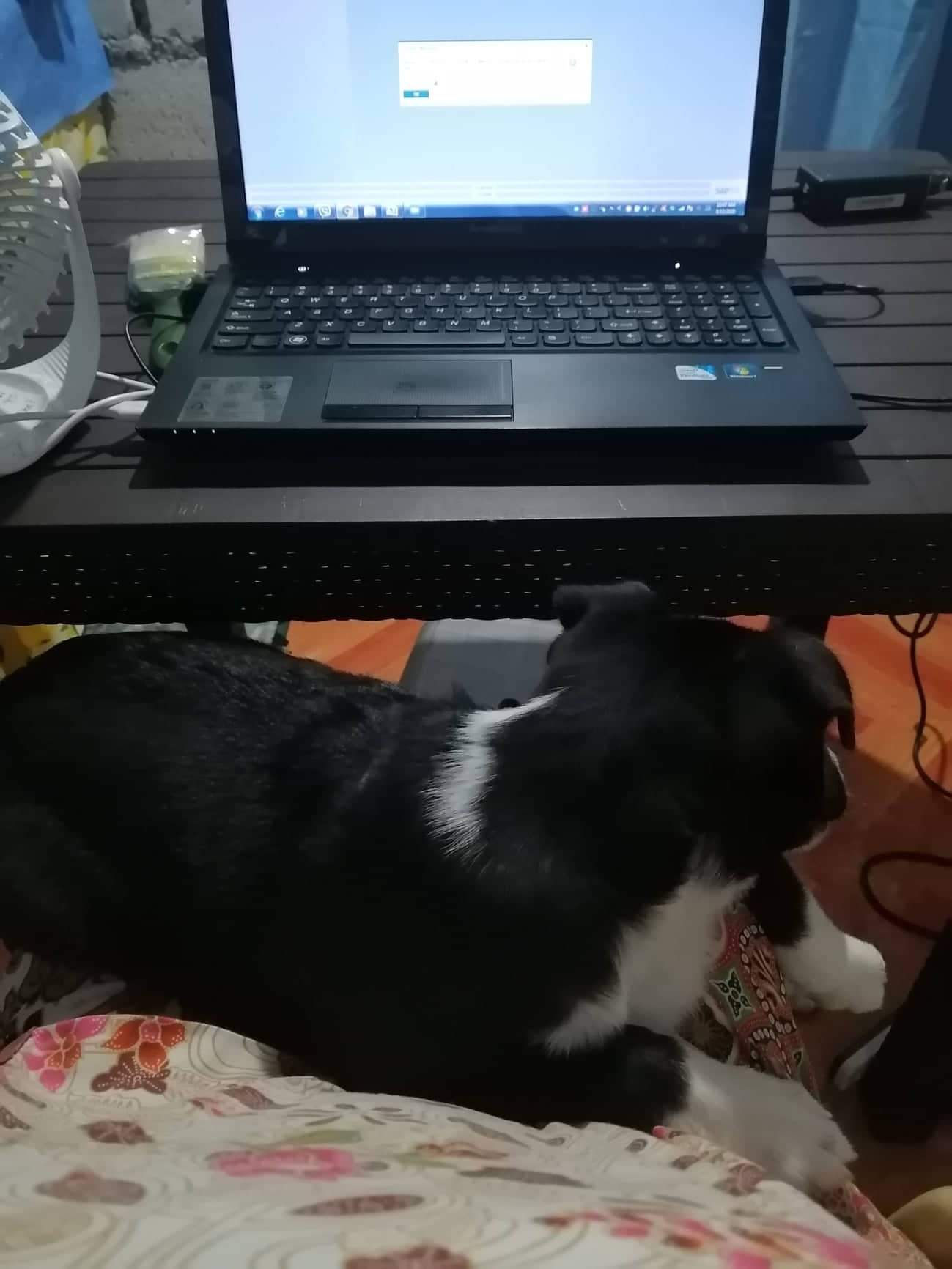 received_777020466718323.jpeg