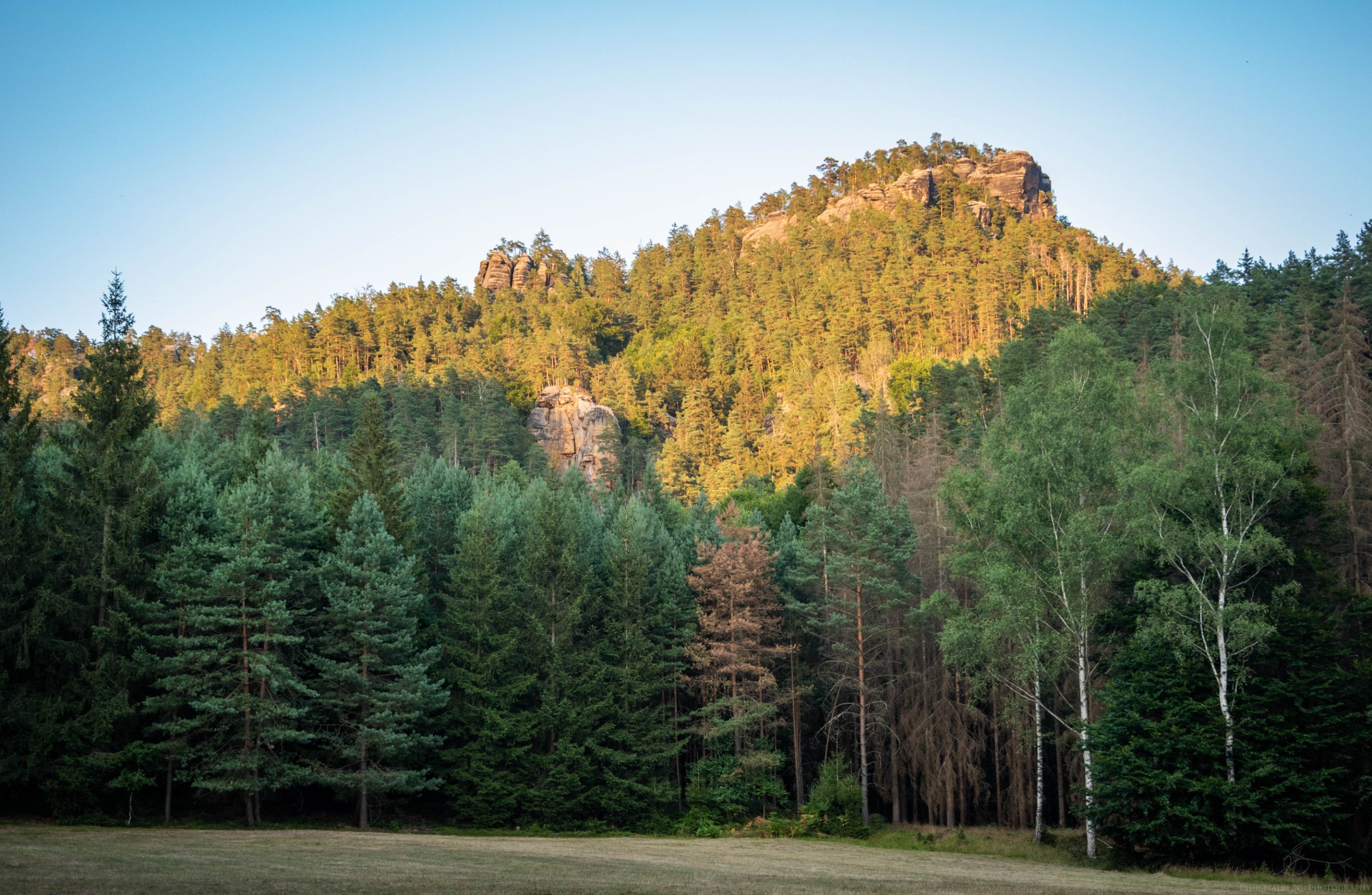 DSC_0175.jpg