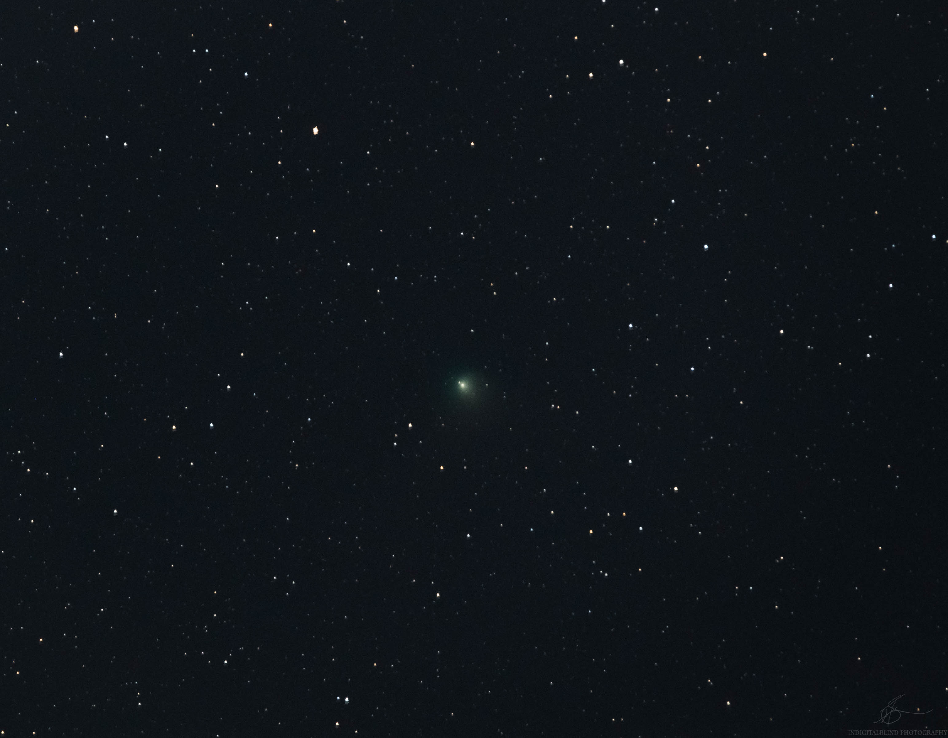 FRS_1550.JPG