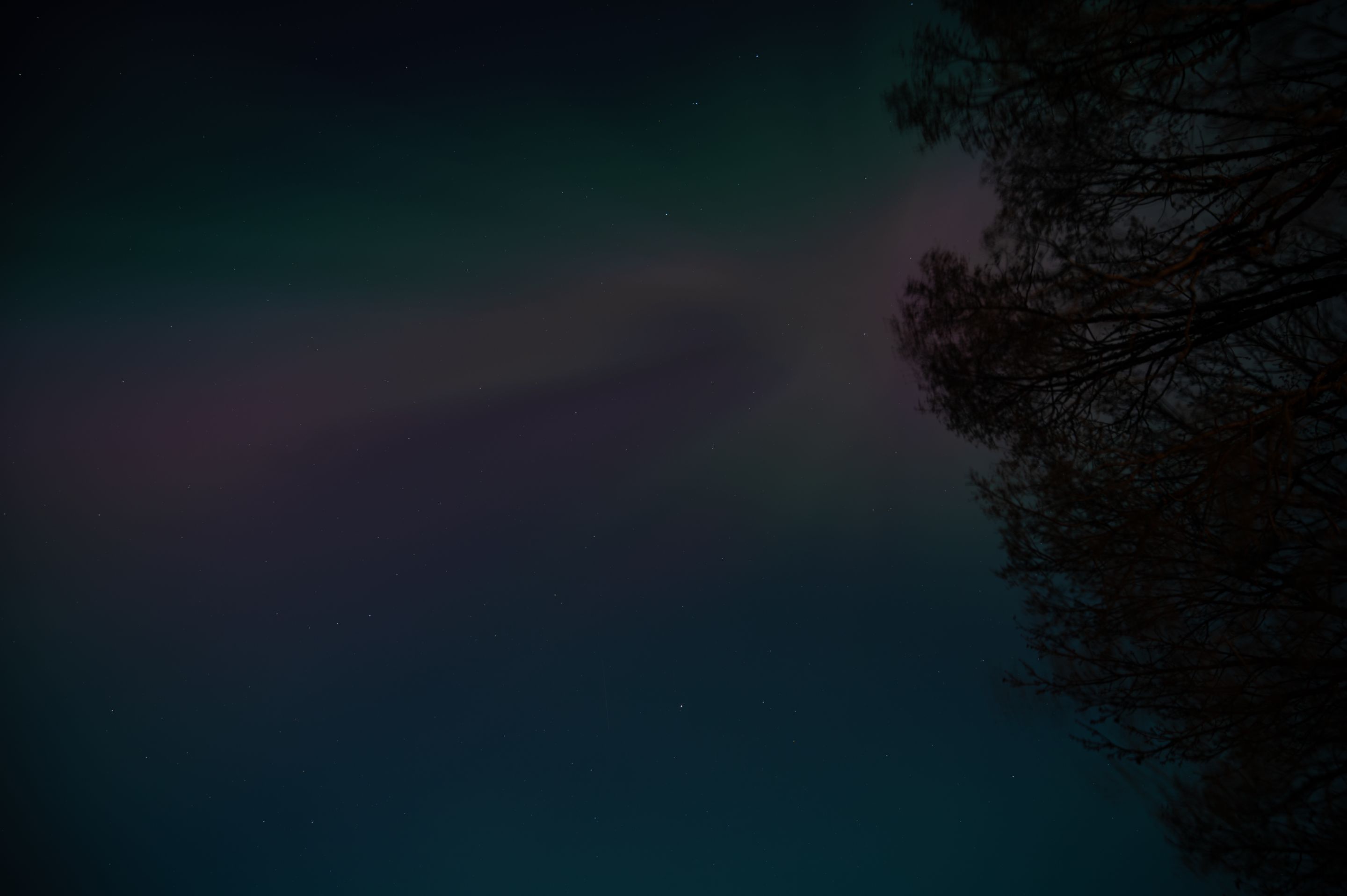 FRS_5128-Enhanced-NR.jpg