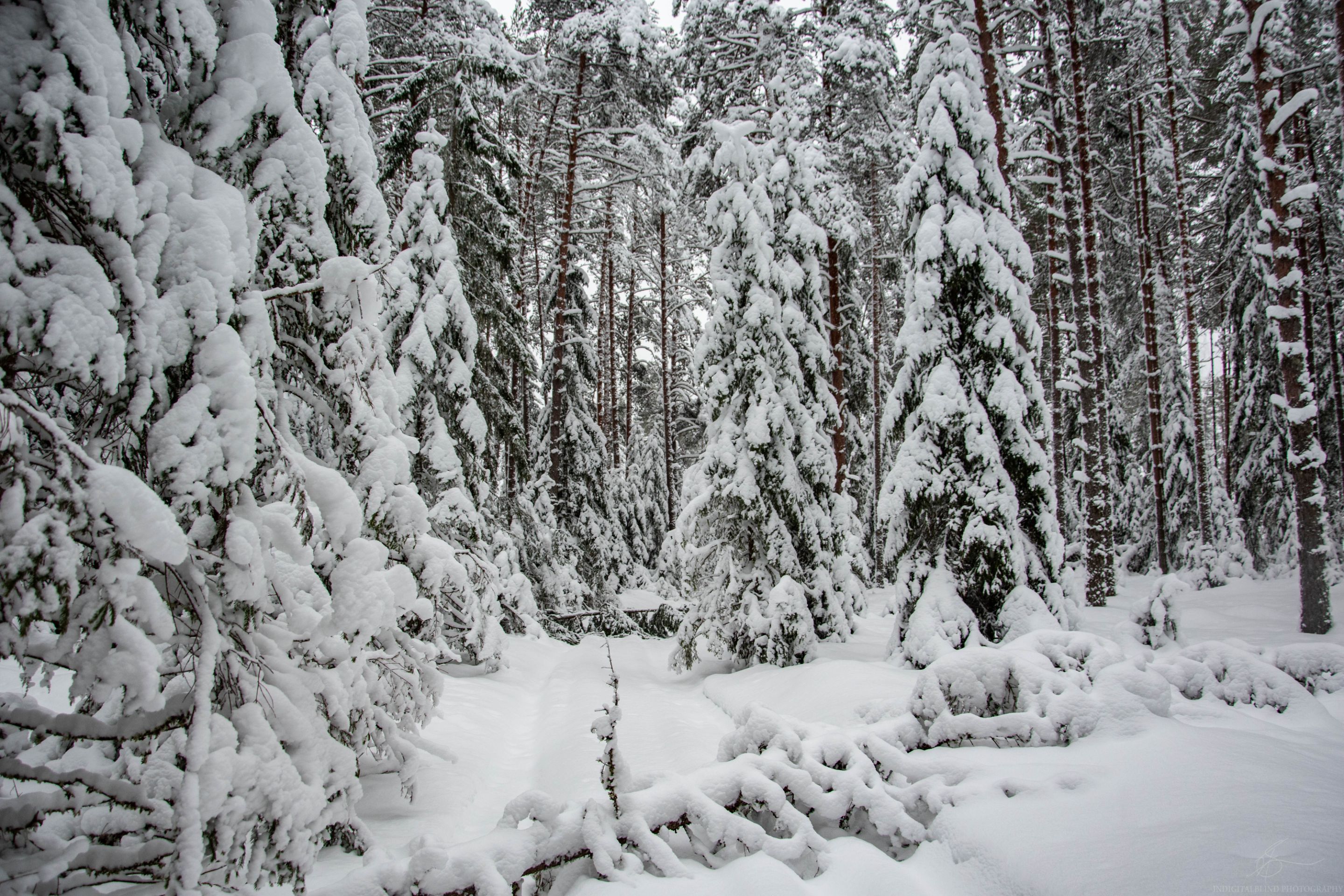 DSC_0064.jpg