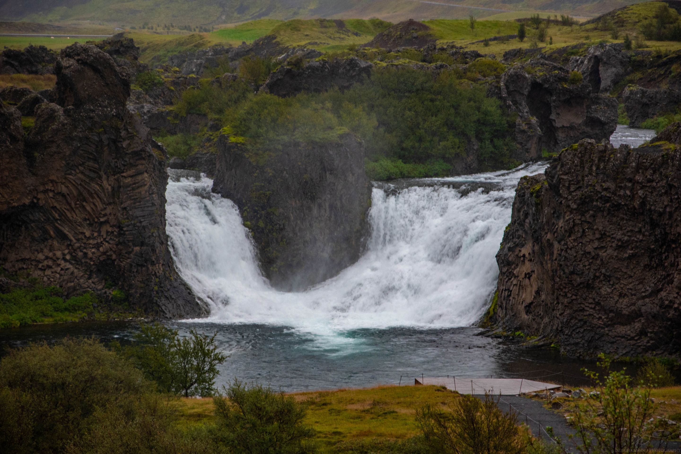 DSC_0173.jpg