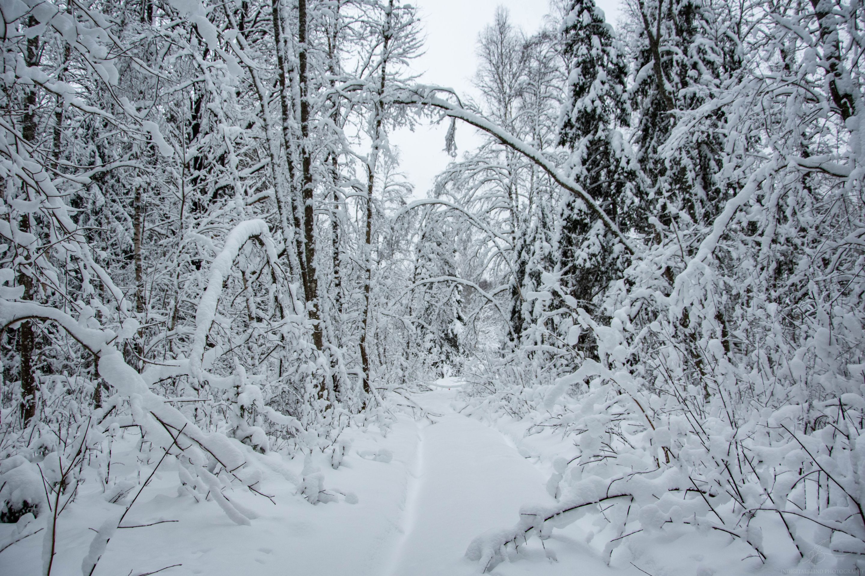DSC_0066.jpg