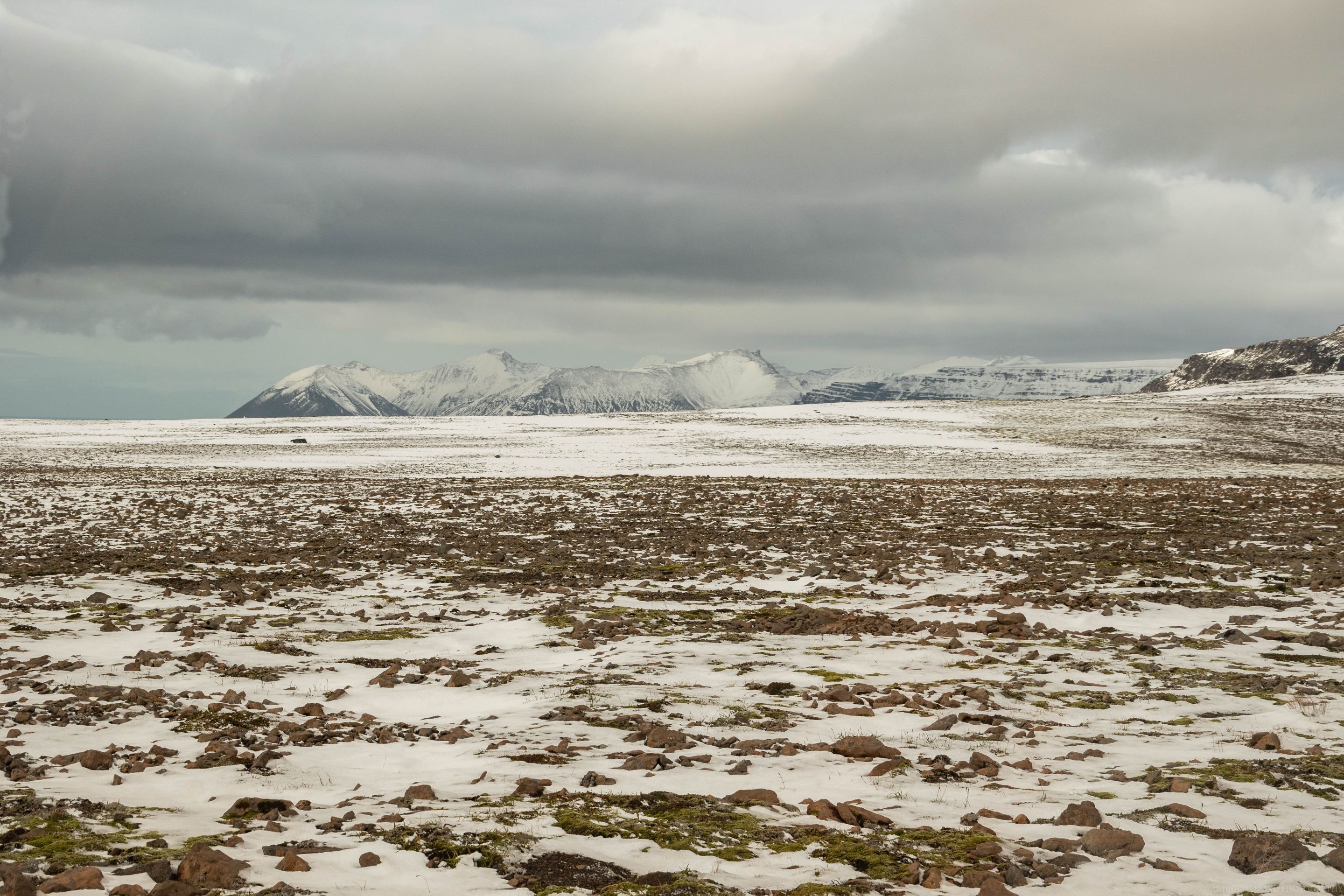 DSC_0323.jpg