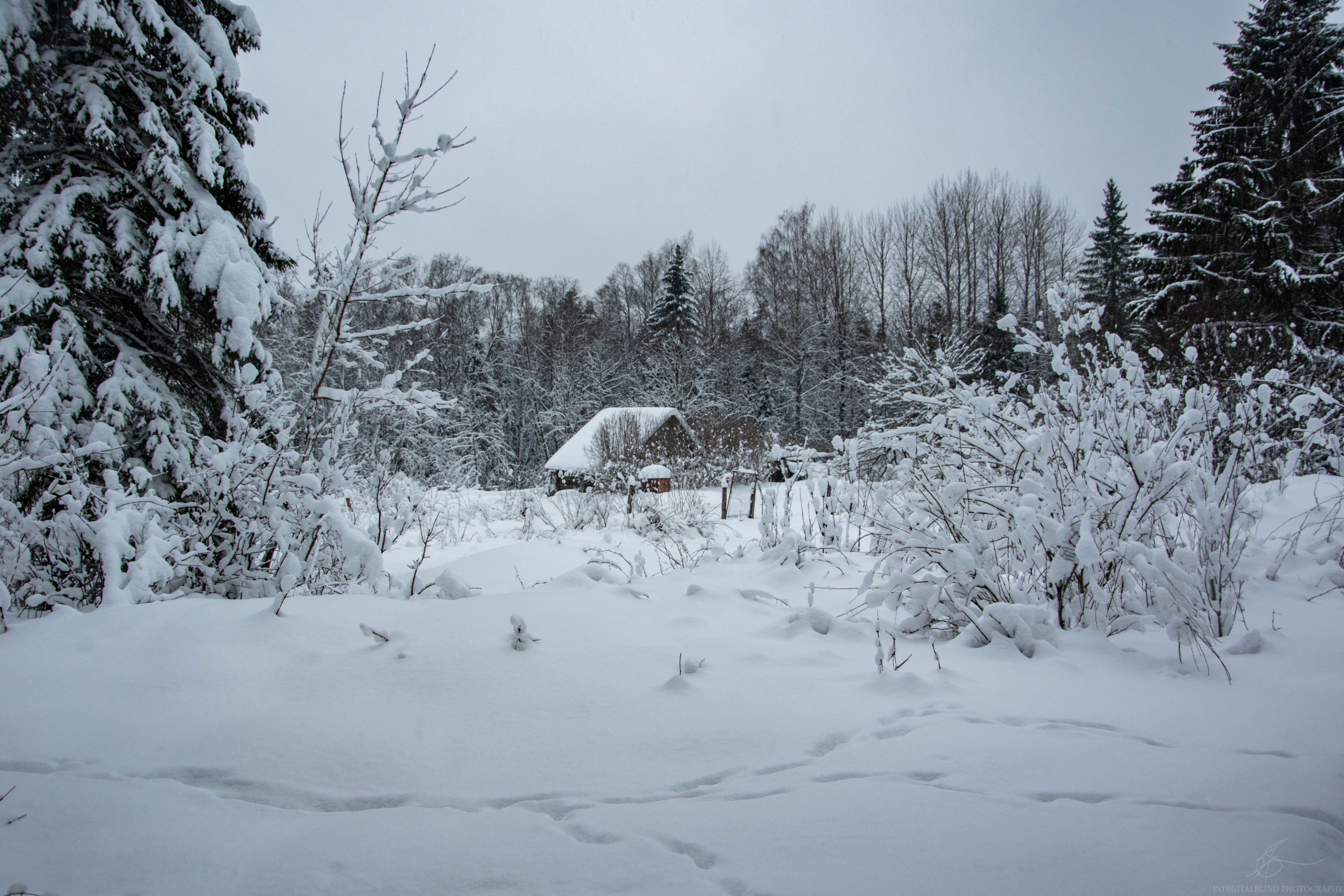 DSC_0067.jpg