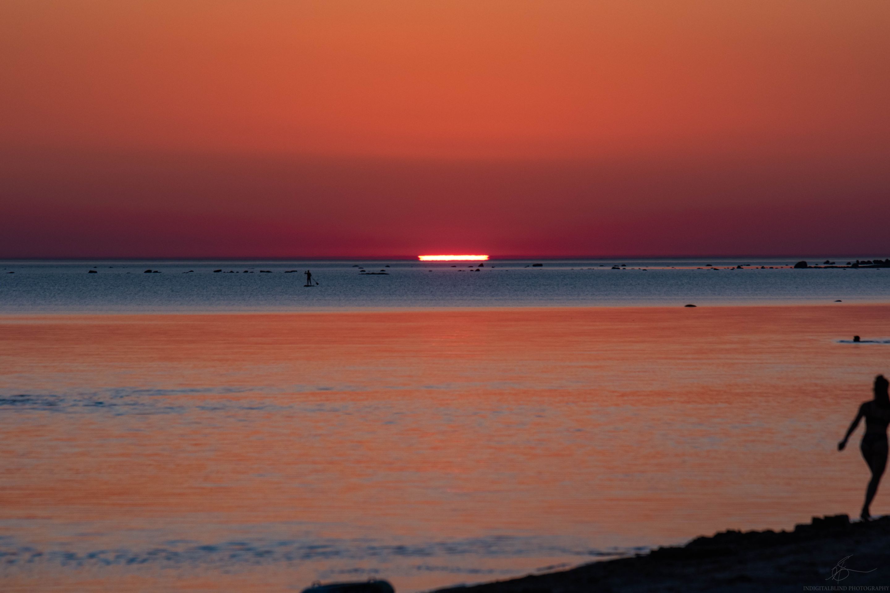 DSC_0297.JPG