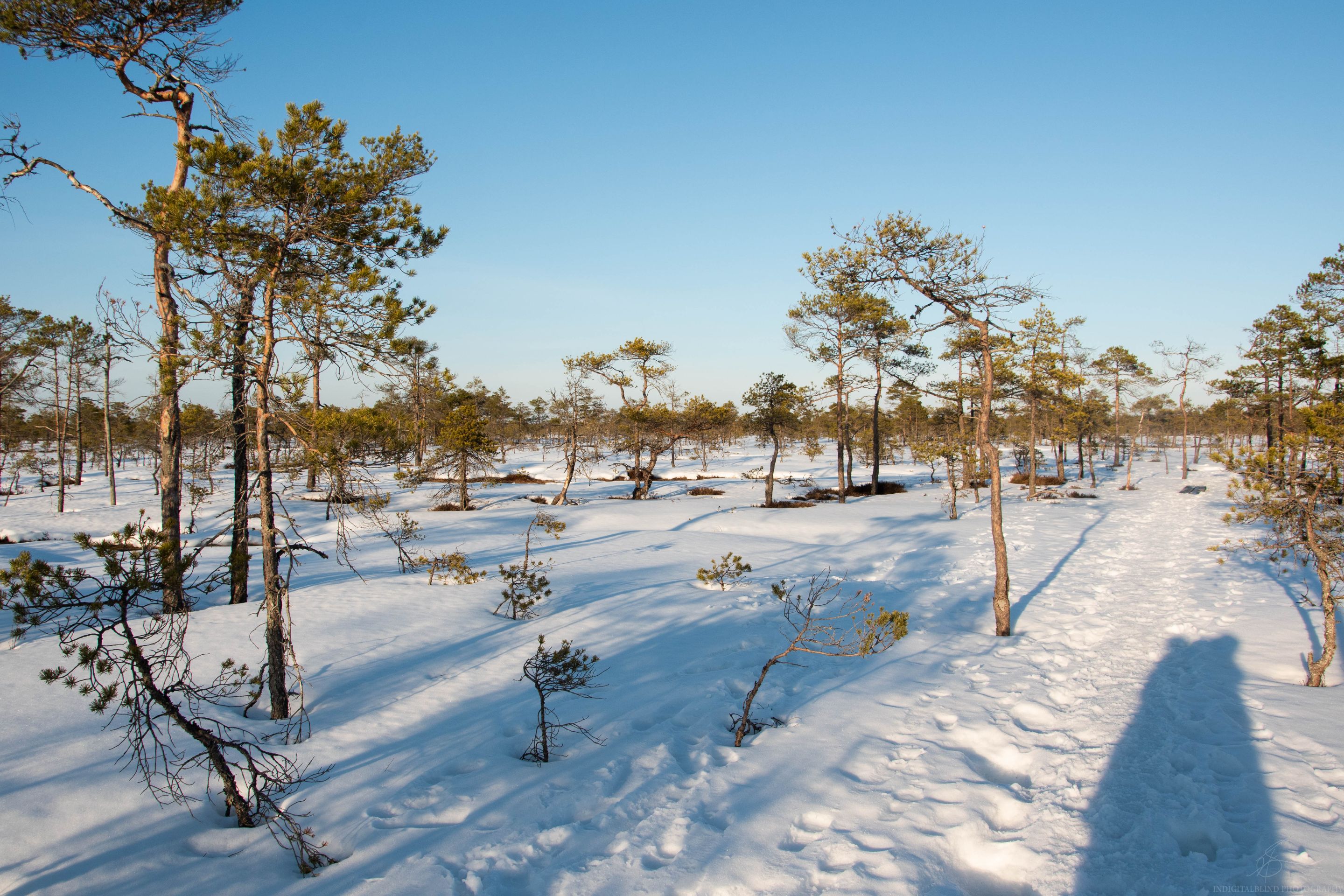 DSC_0106-2.jpg