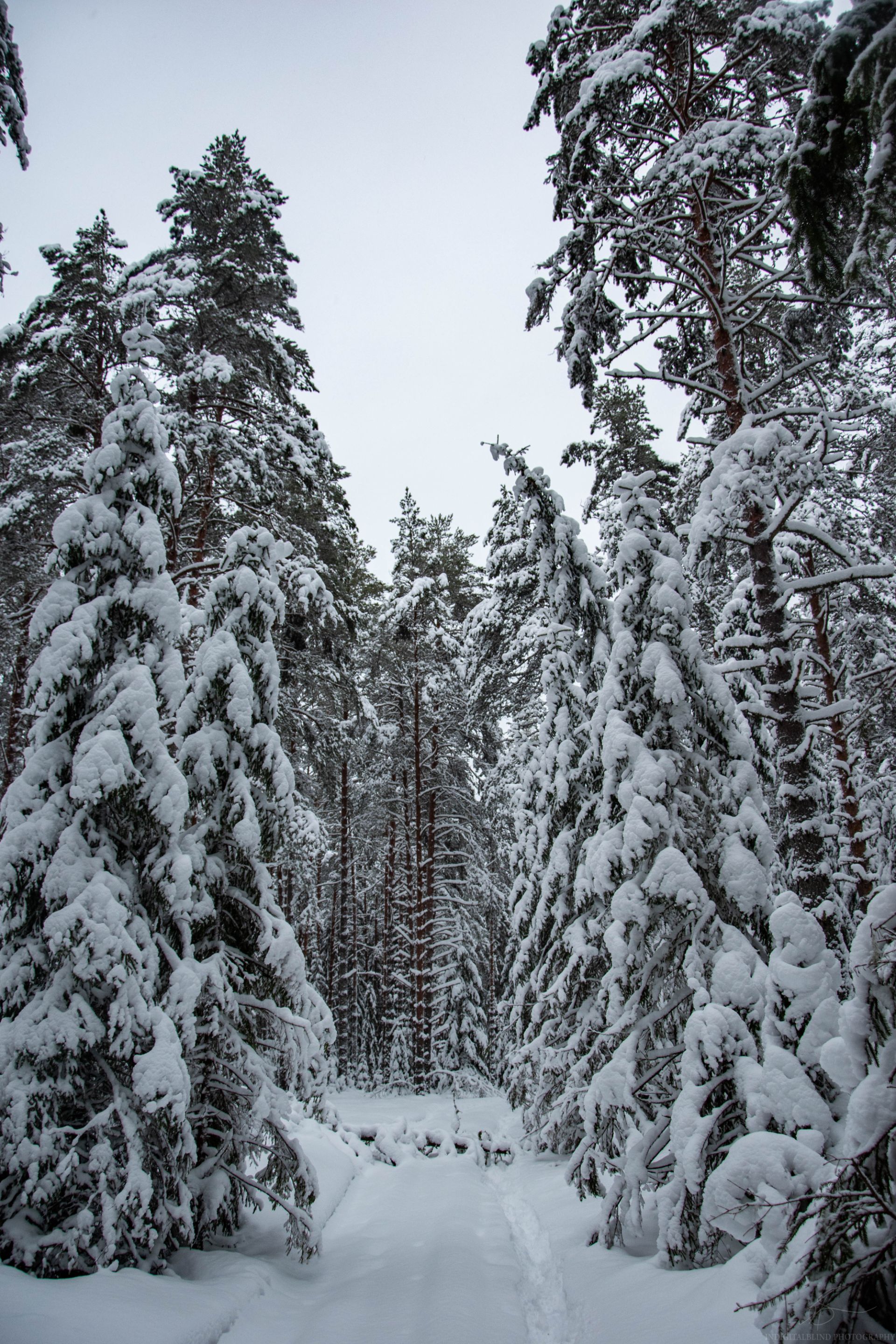 DSC_0069.jpg