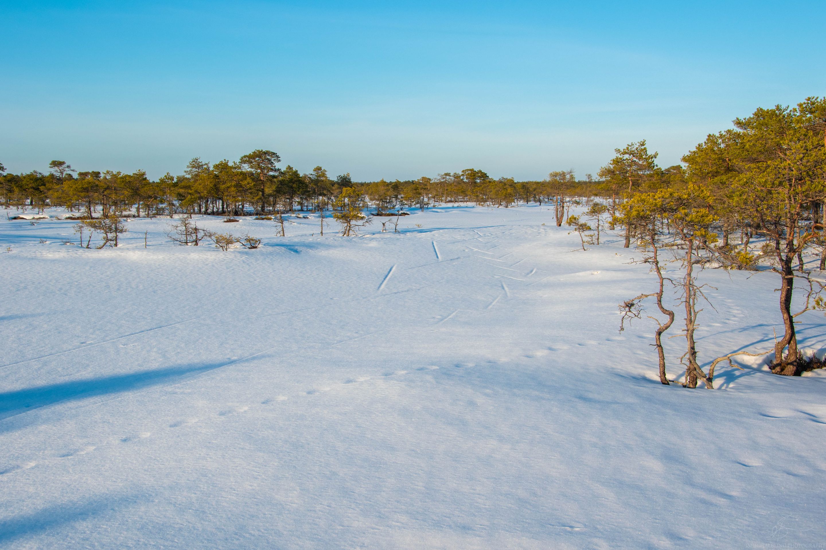 DSC_0112-2.jpg