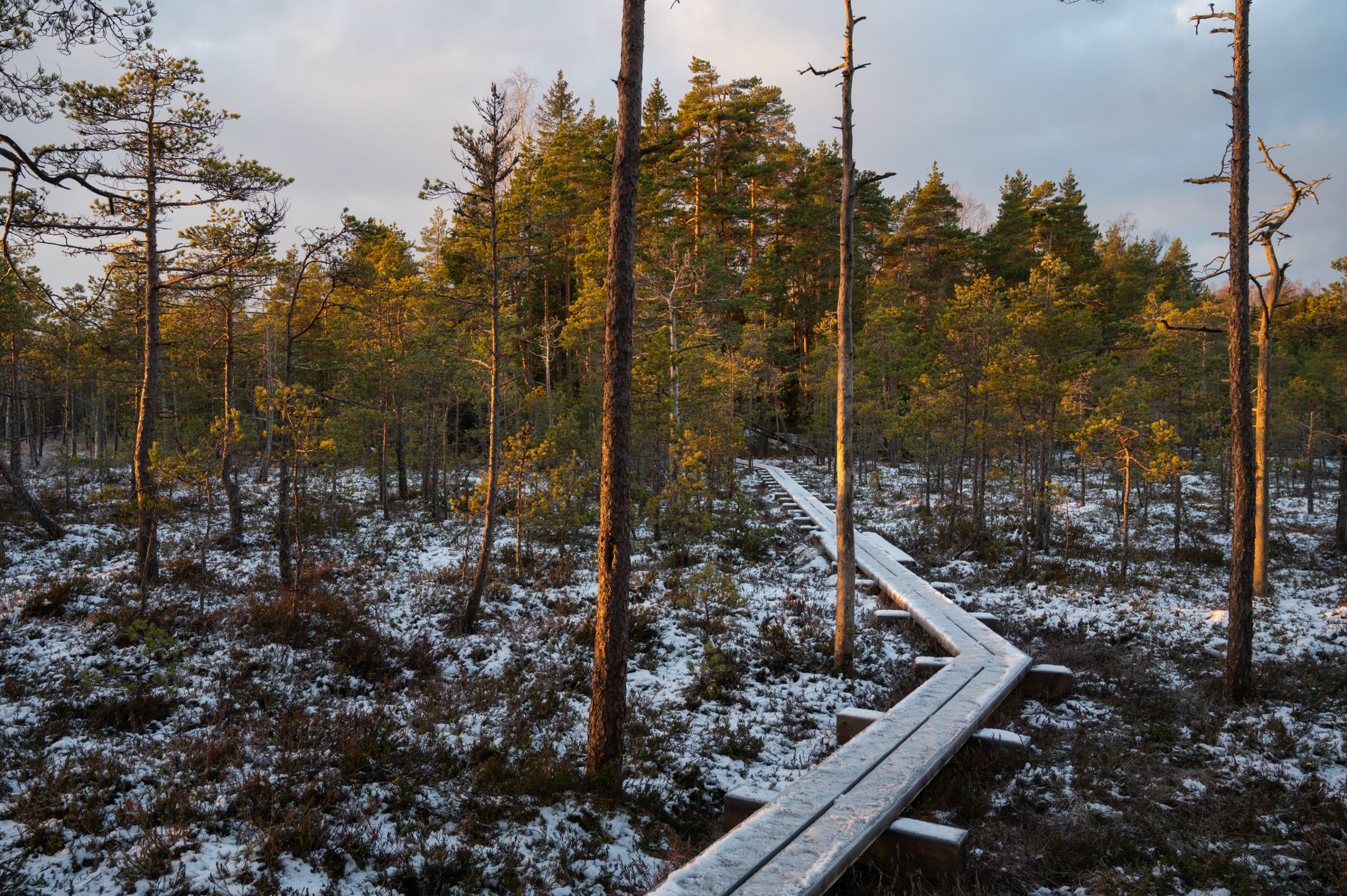 FRS_6858.jpg