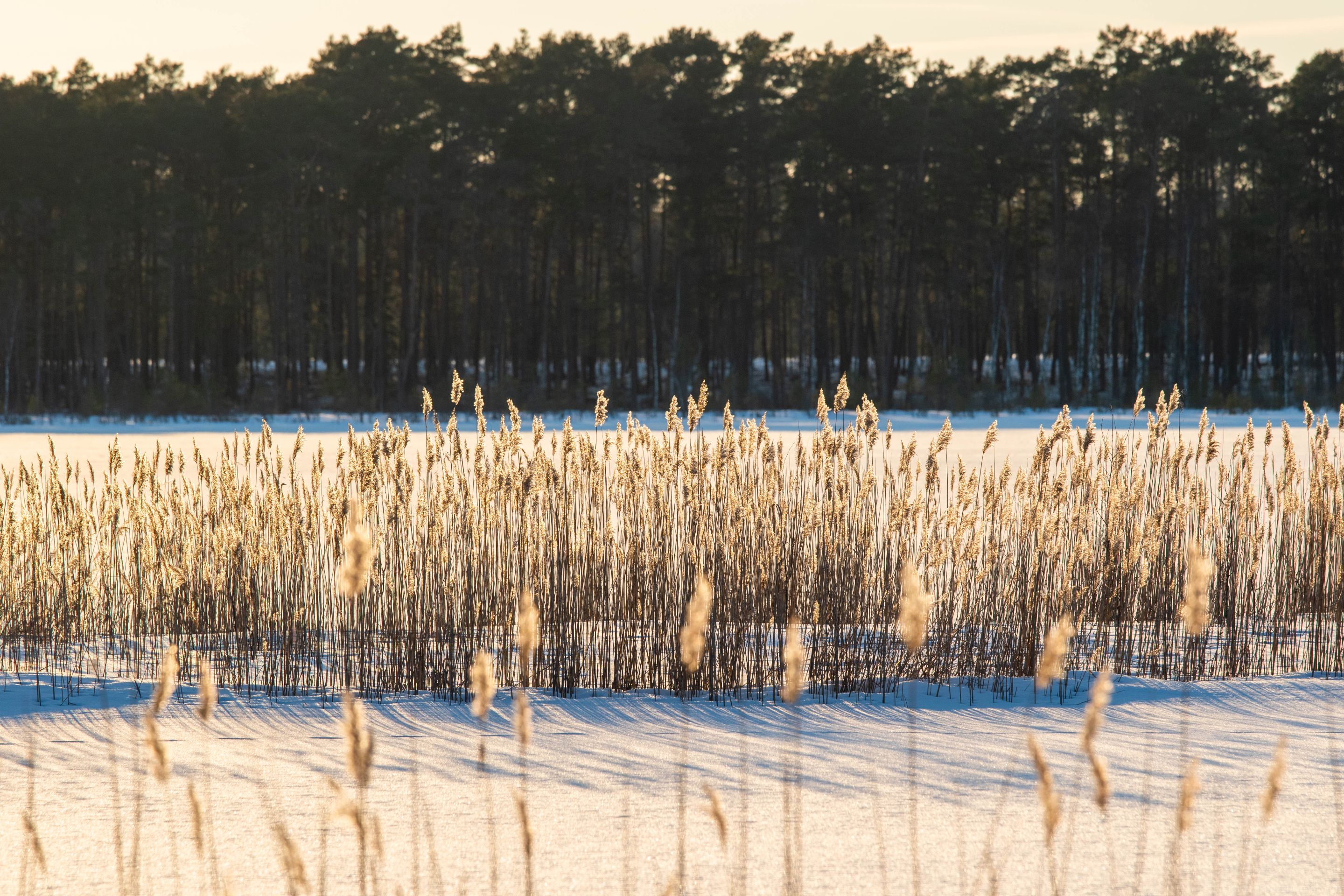 DSC_0129.jpg