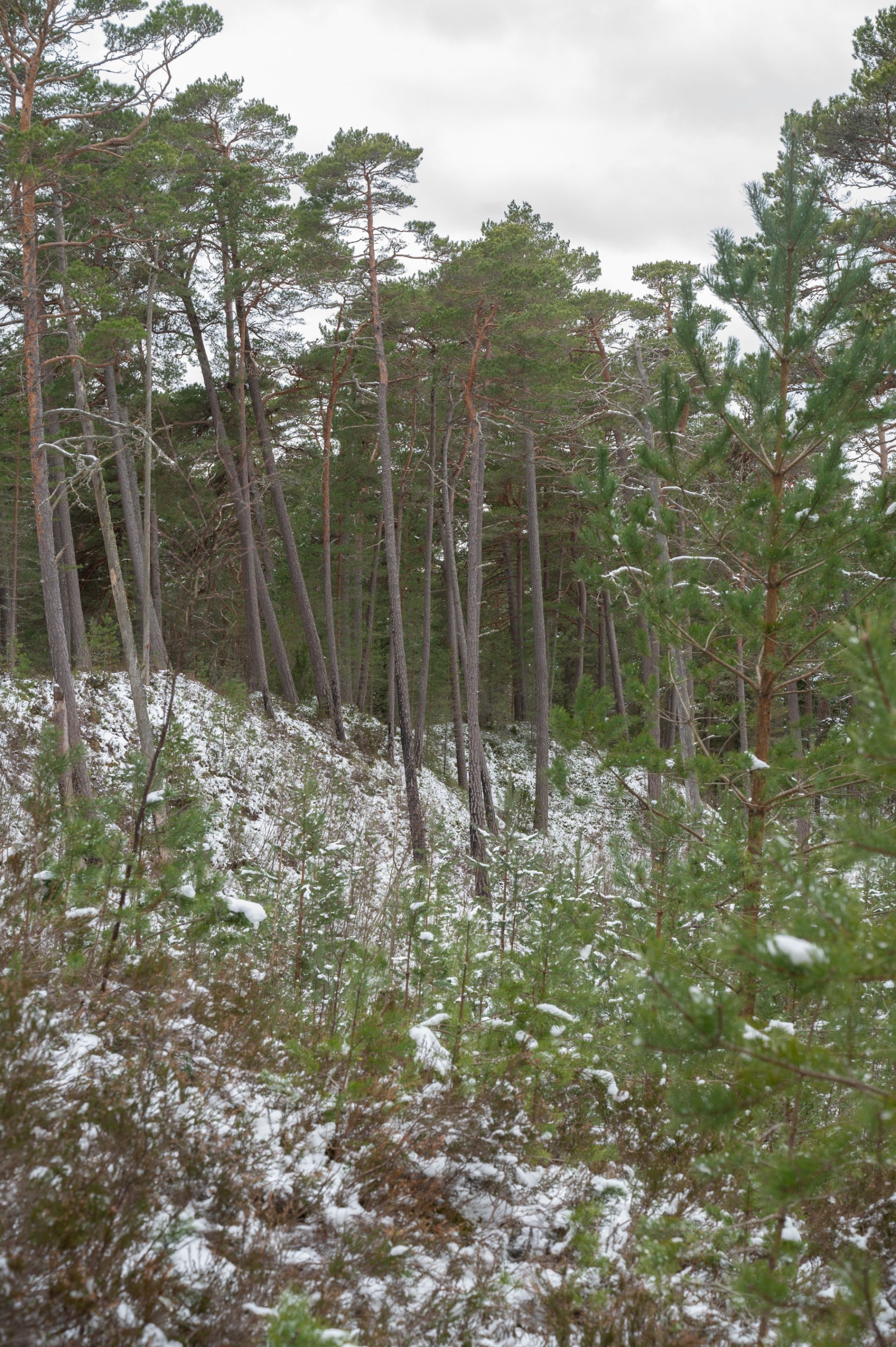 FRS_7259.jpg