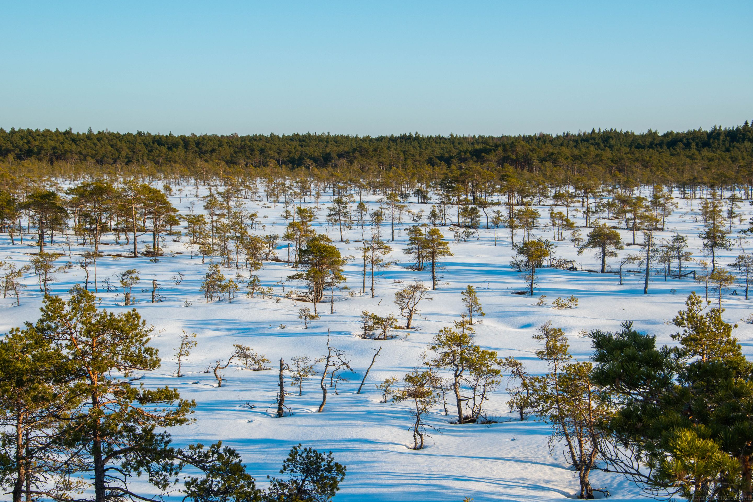 DSC_0111-2.jpg