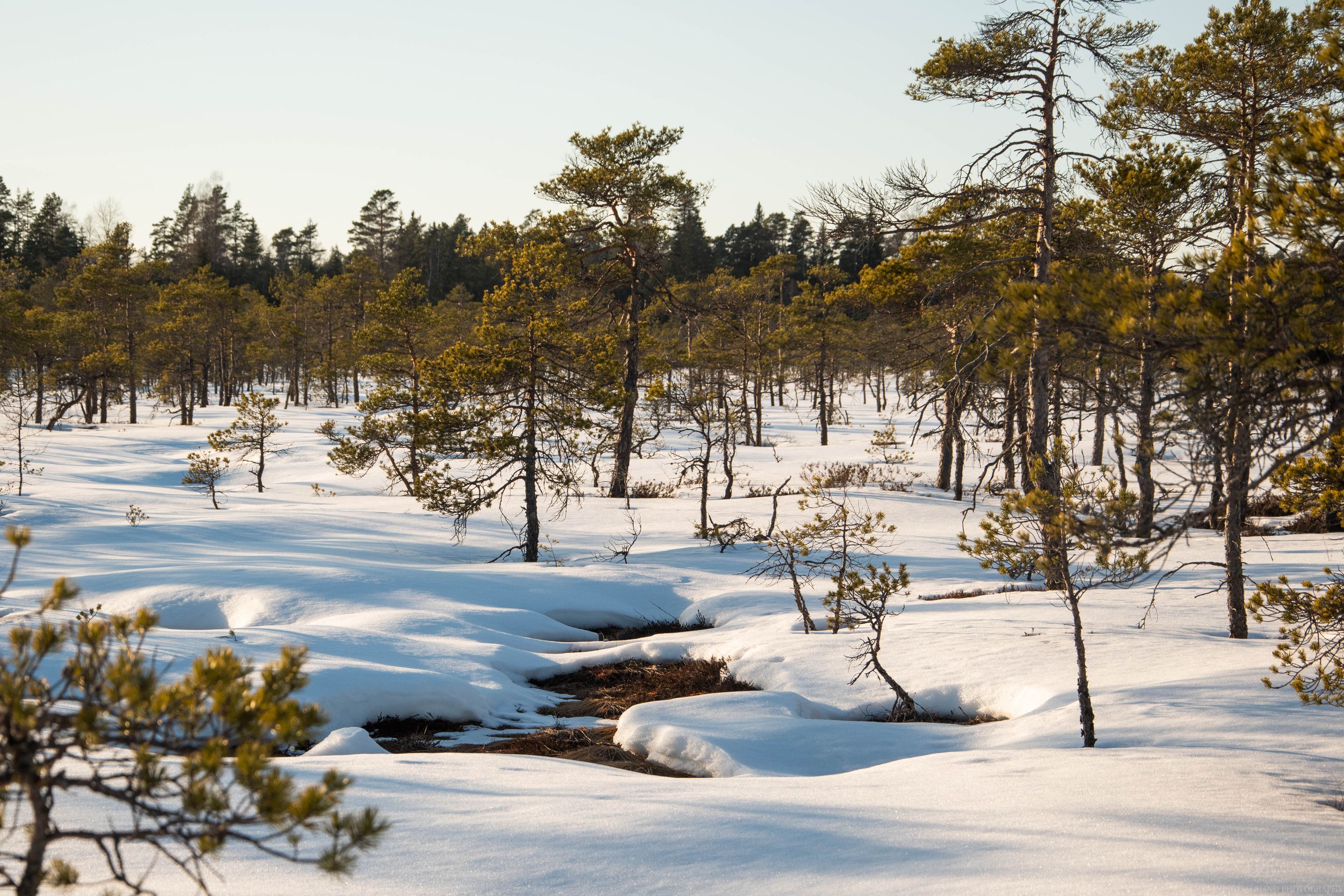 DSC_0107-2.jpg