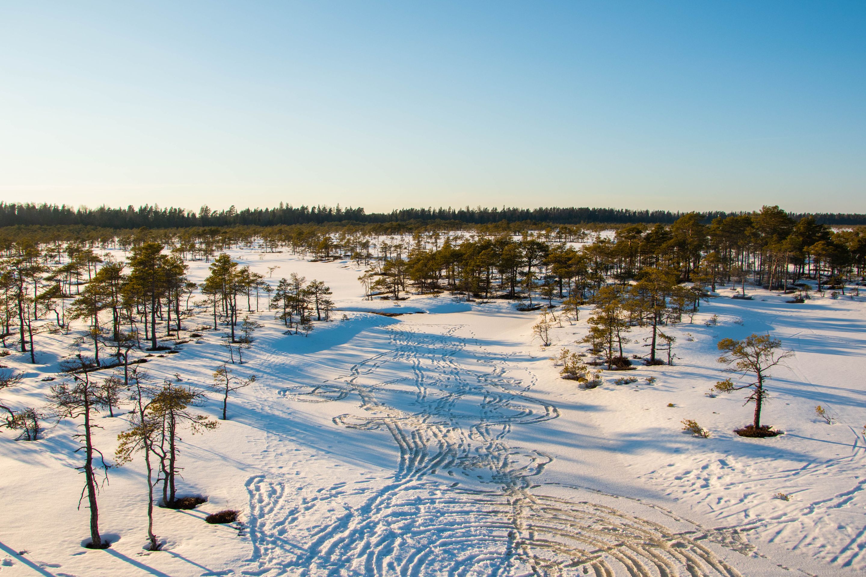 DSC_0109-2.jpg