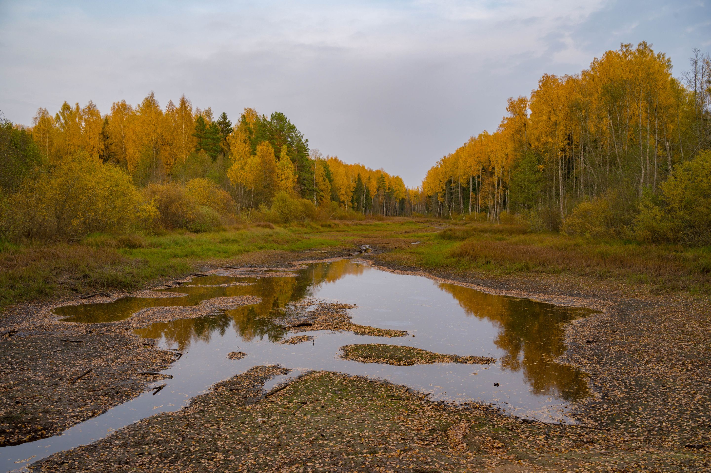 FRS_0656.JPG