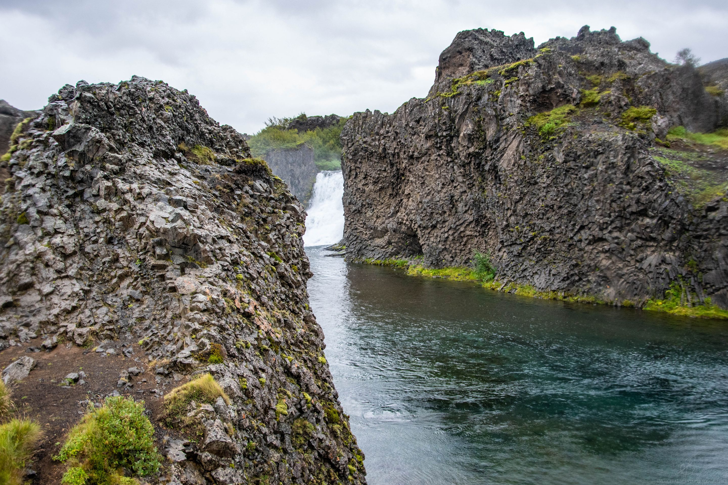 DSC_0185.jpg