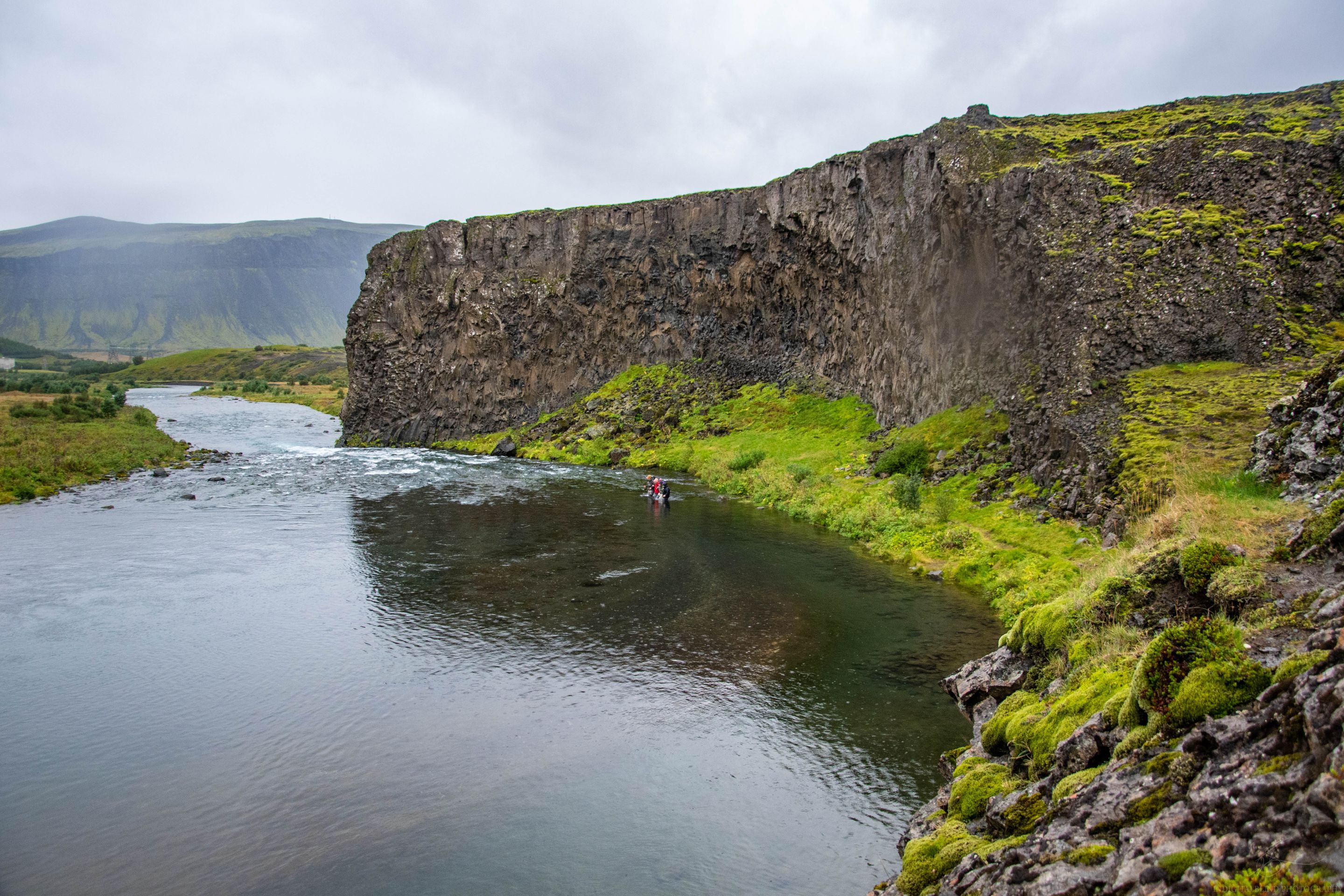 DSC_0183.jpg