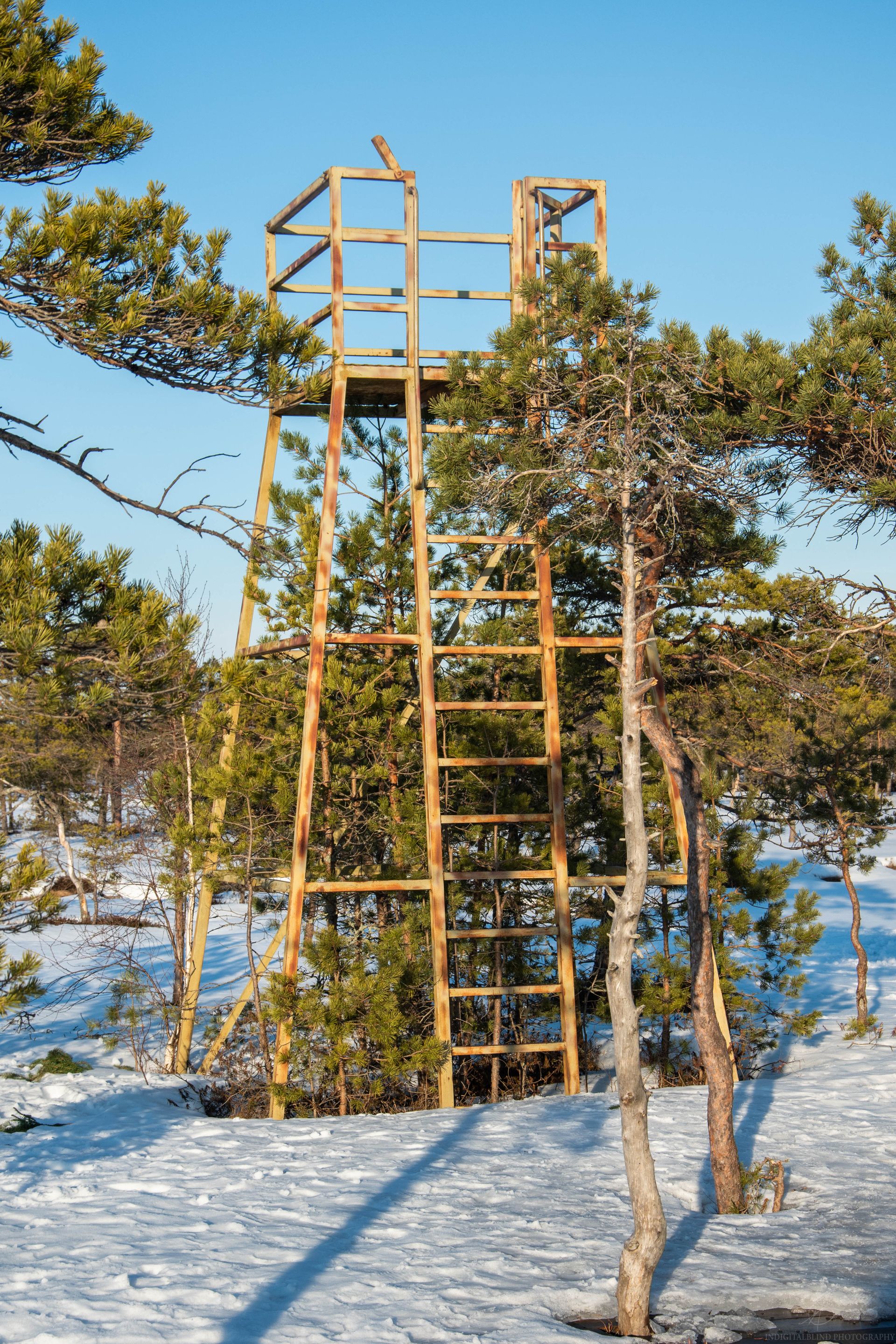 DSC_0108-2.jpg
