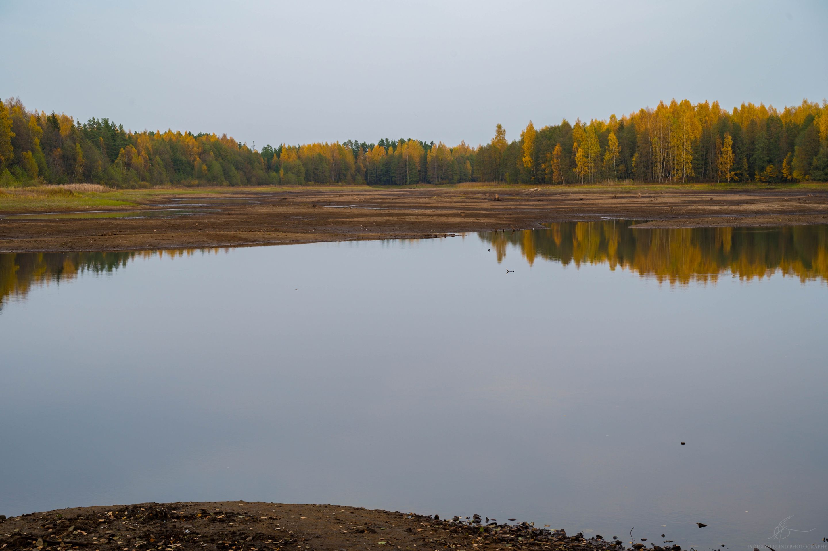 FRS_0652.JPG