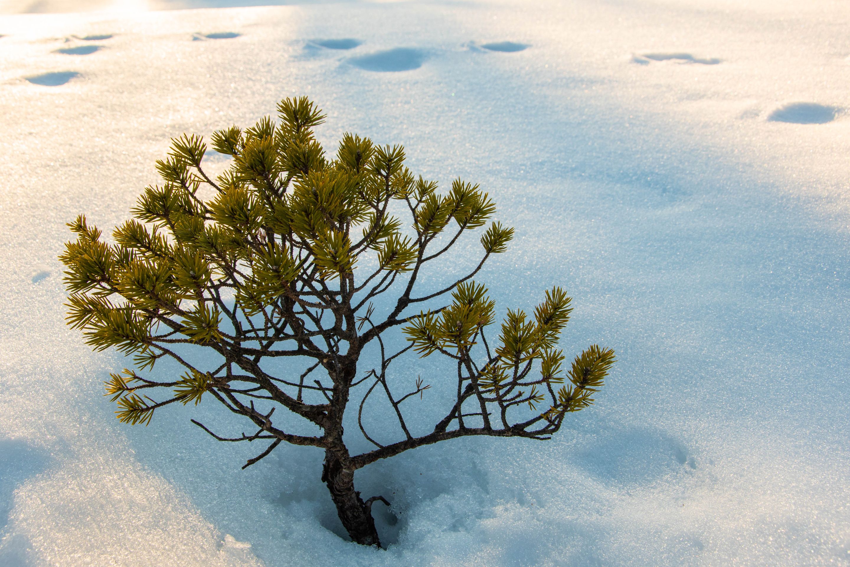 DSC_0113-2.jpg