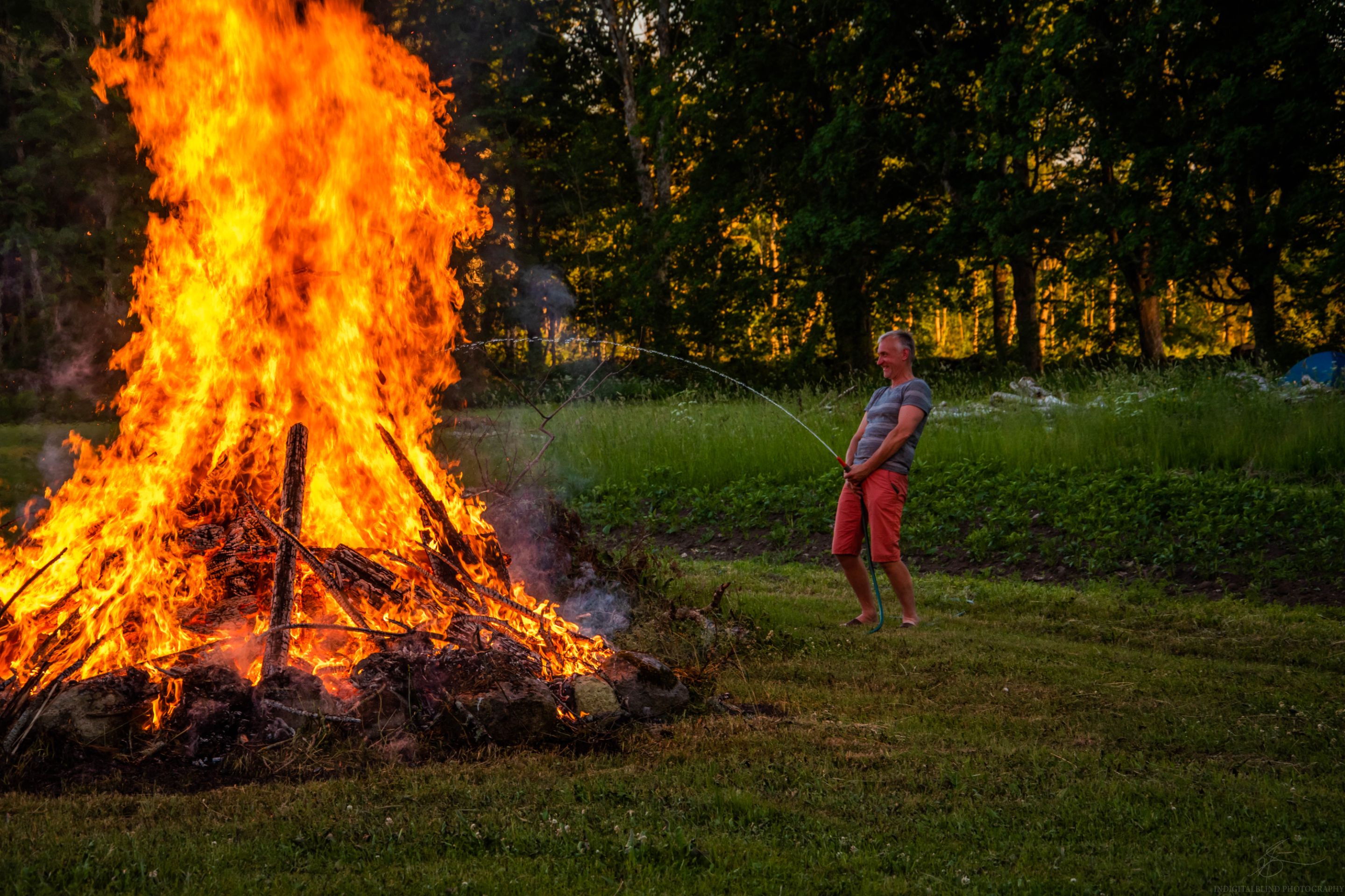 DSC_0065.jpg