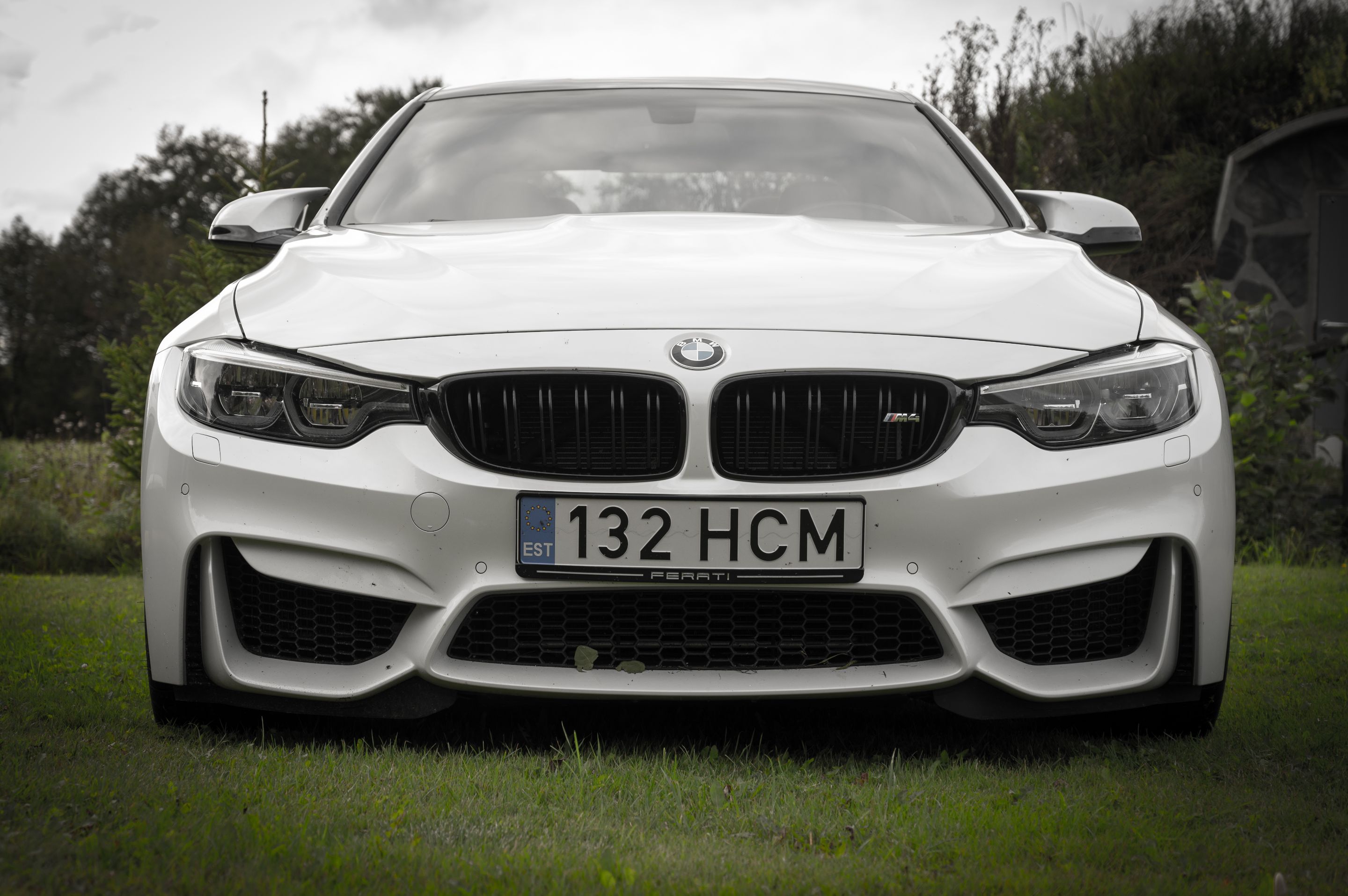 FRS_4207.jpg