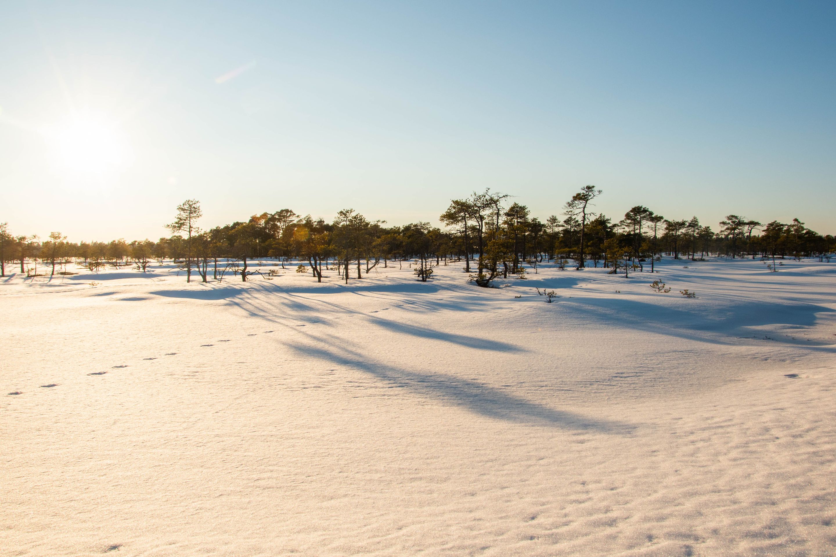 DSC_0115-2.jpg