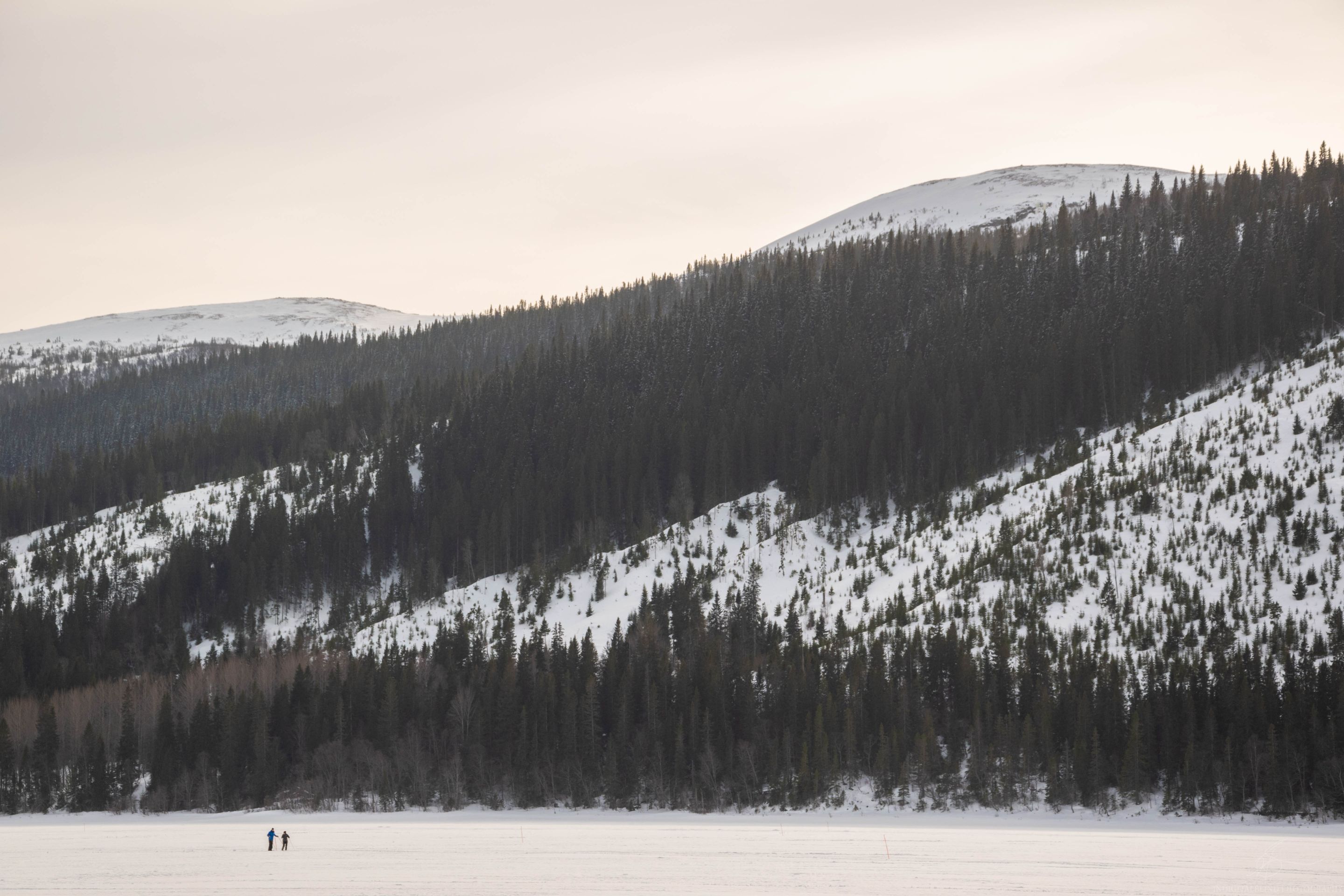 DSC_0051.jpg