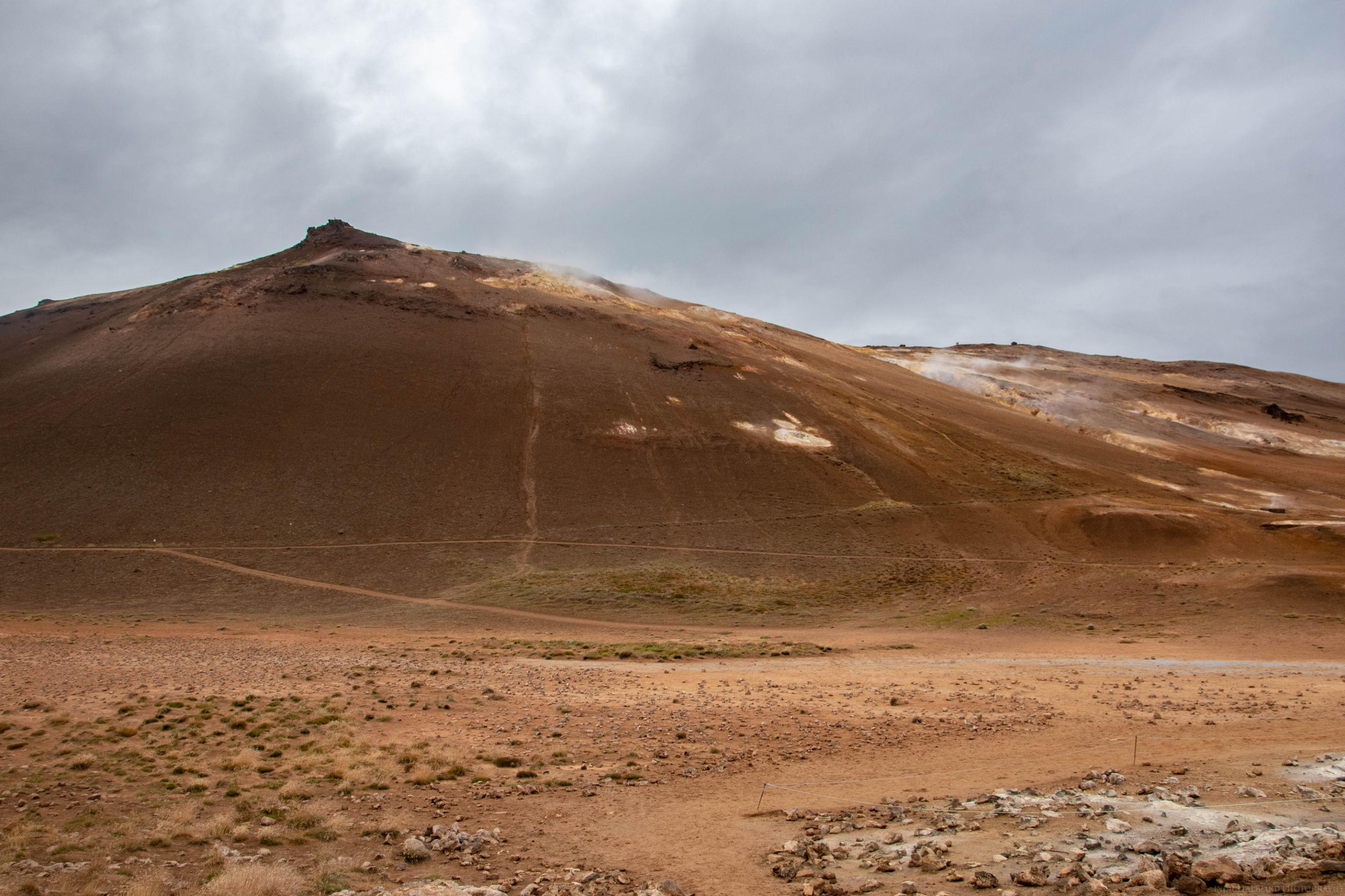 DSC_0849.jpg
