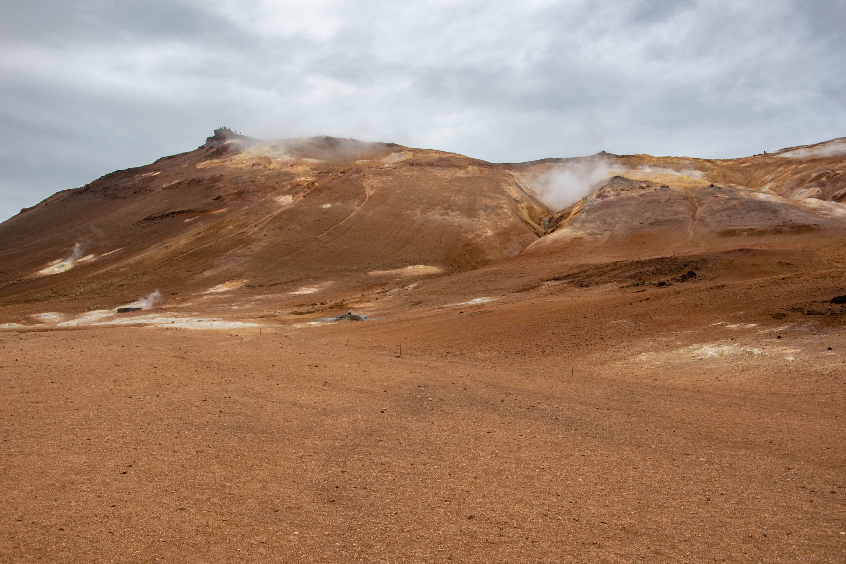 DSC_0843.jpg