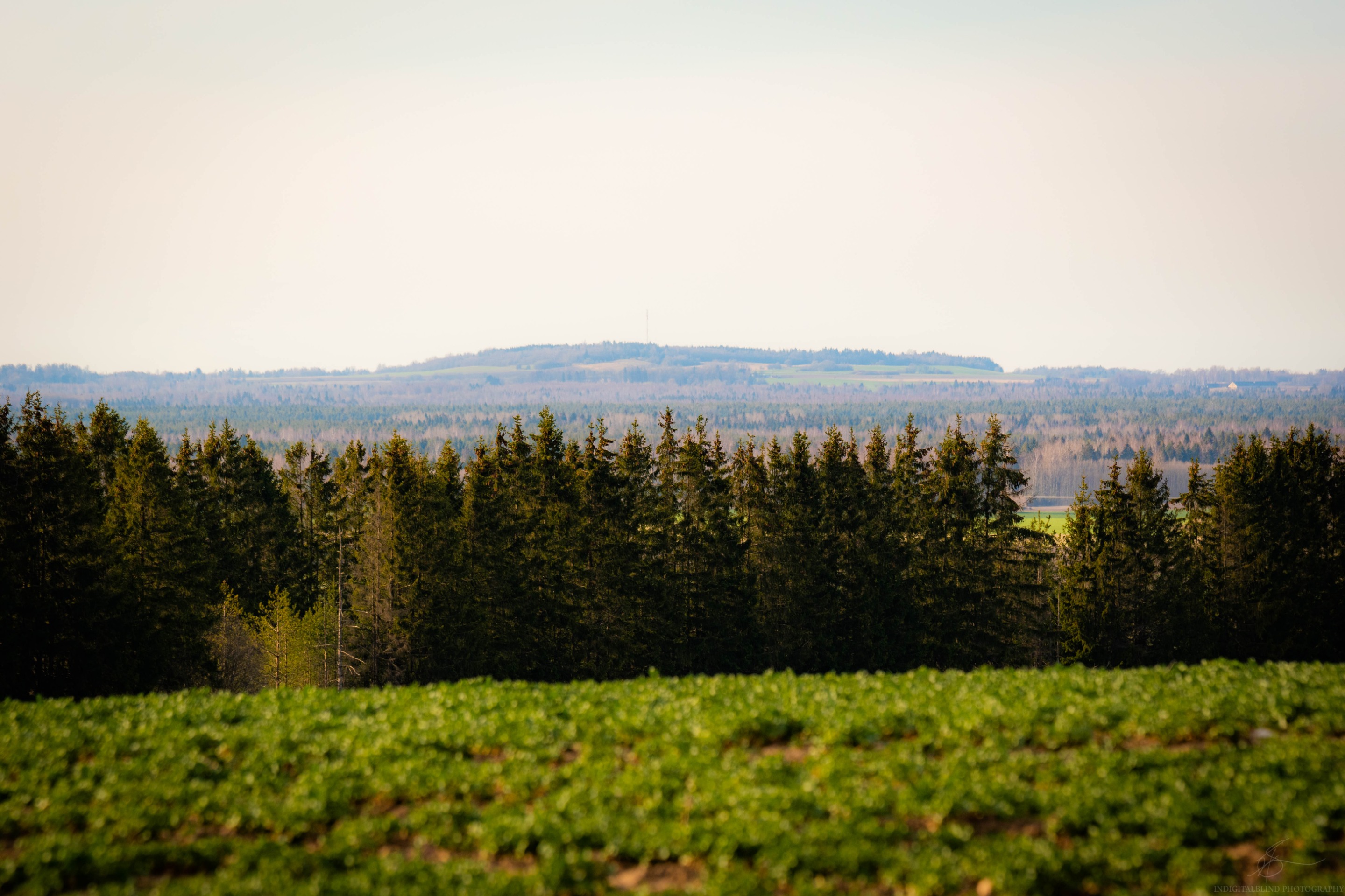 DSC_0016.jpg