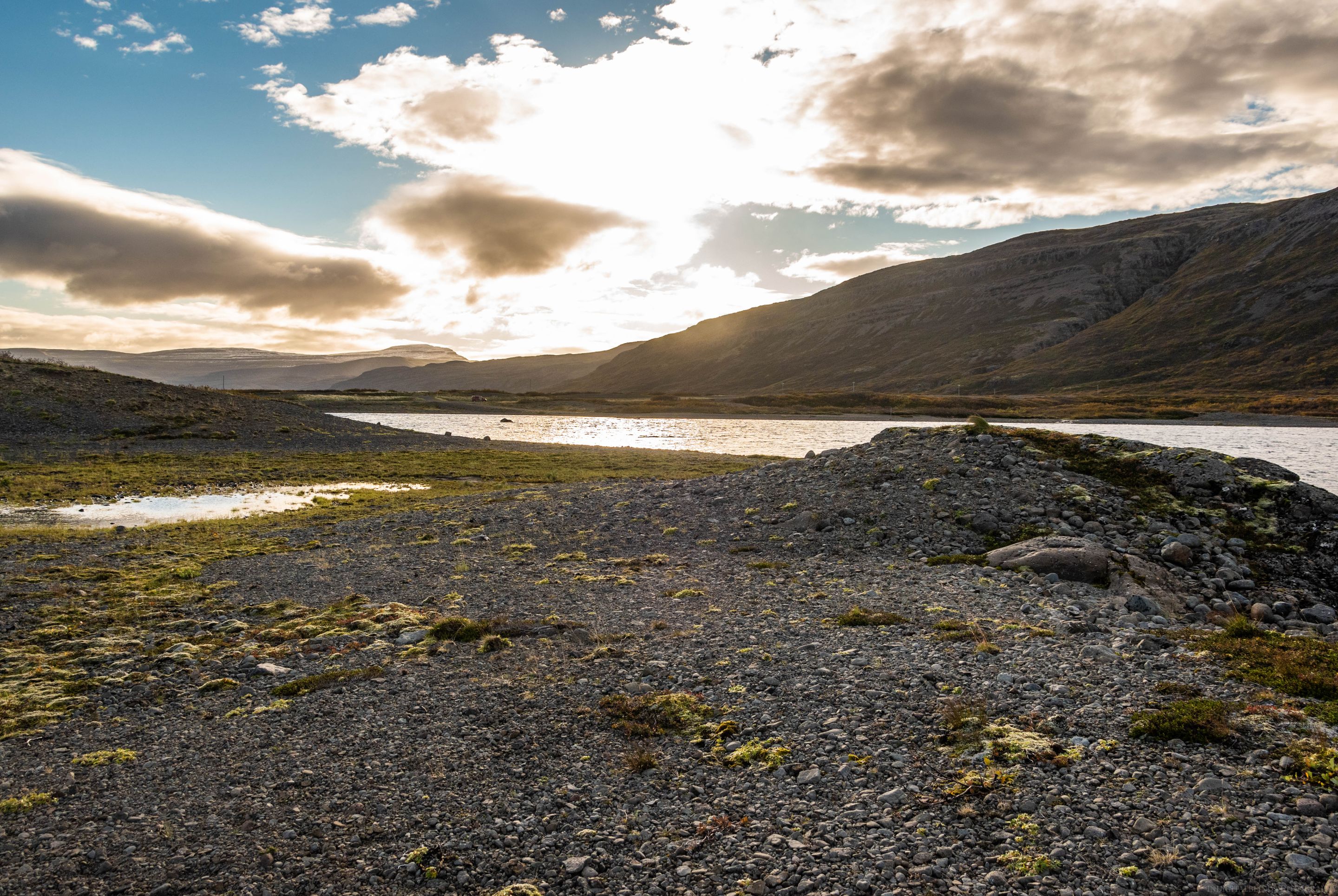 DSC_0370.jpg
