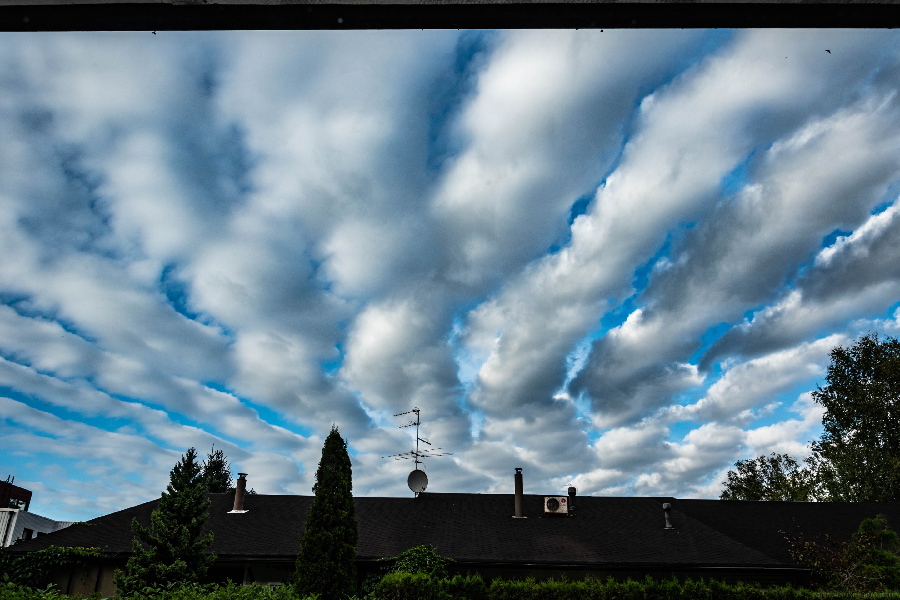 DSC_0536.jpg
