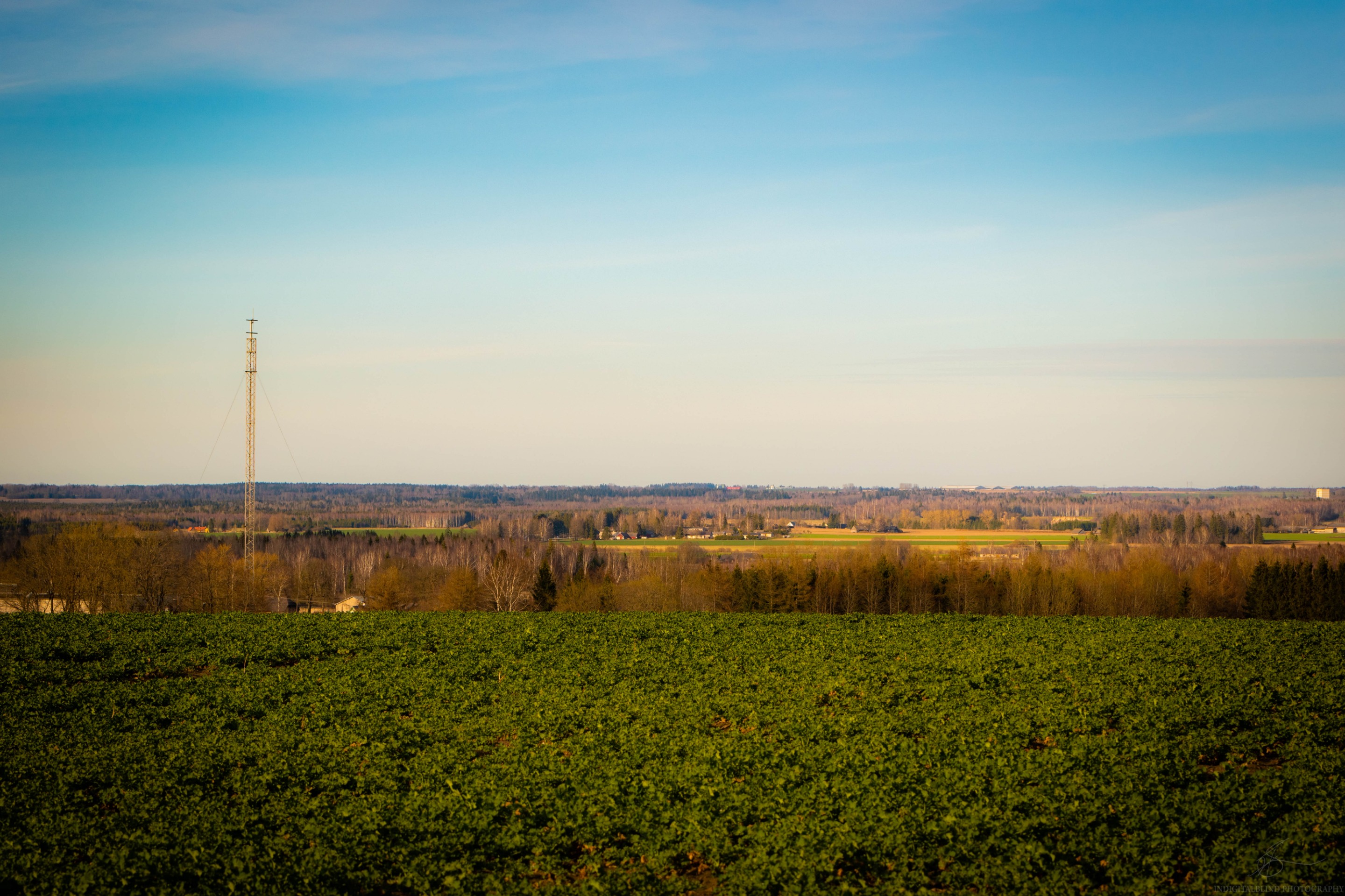 DSC_0002.jpg