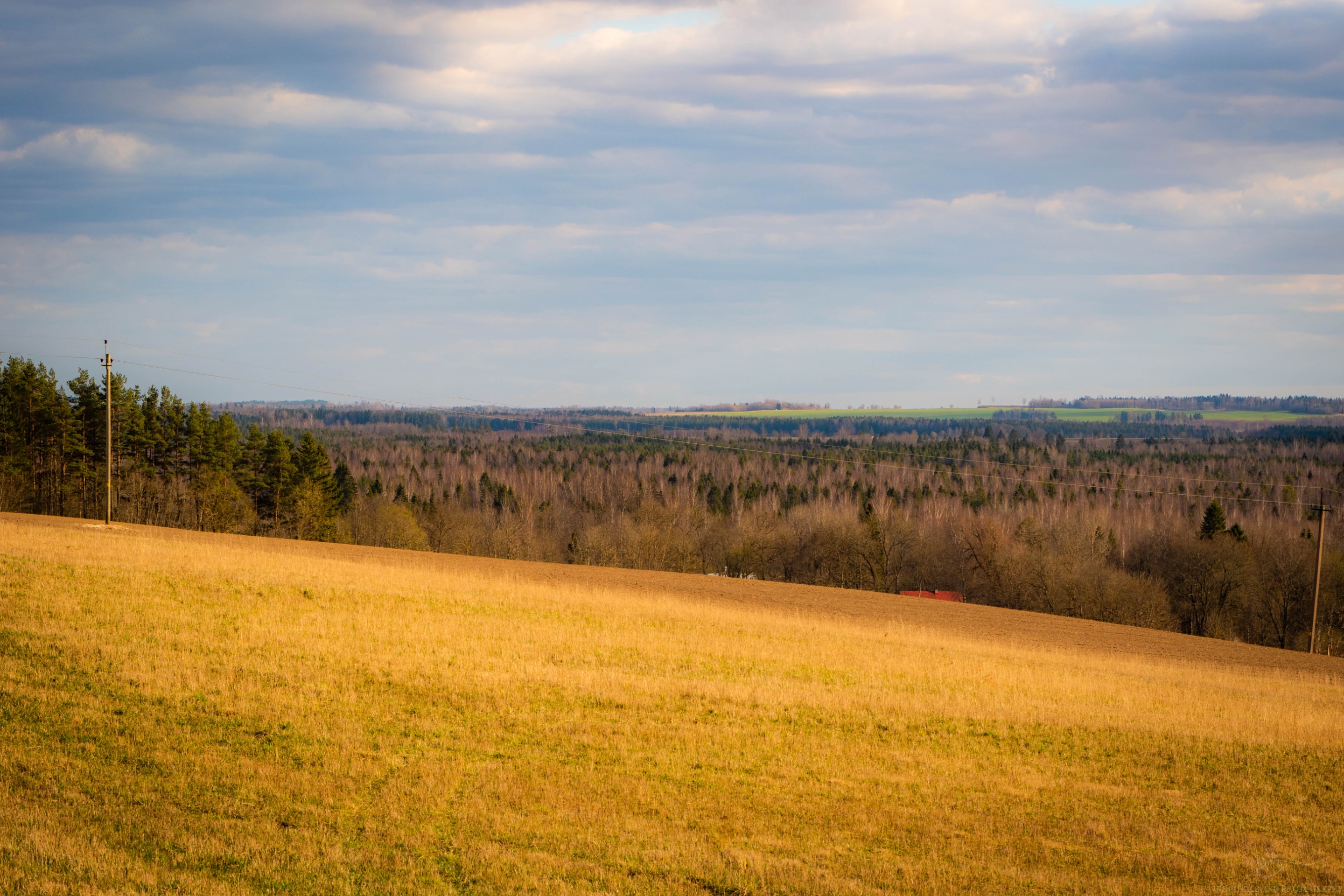 DSC_0005.jpg