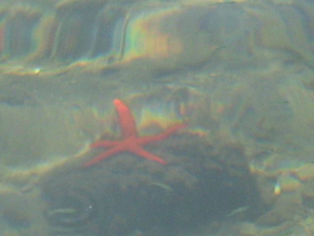 307.-Sardegna 095.jpg