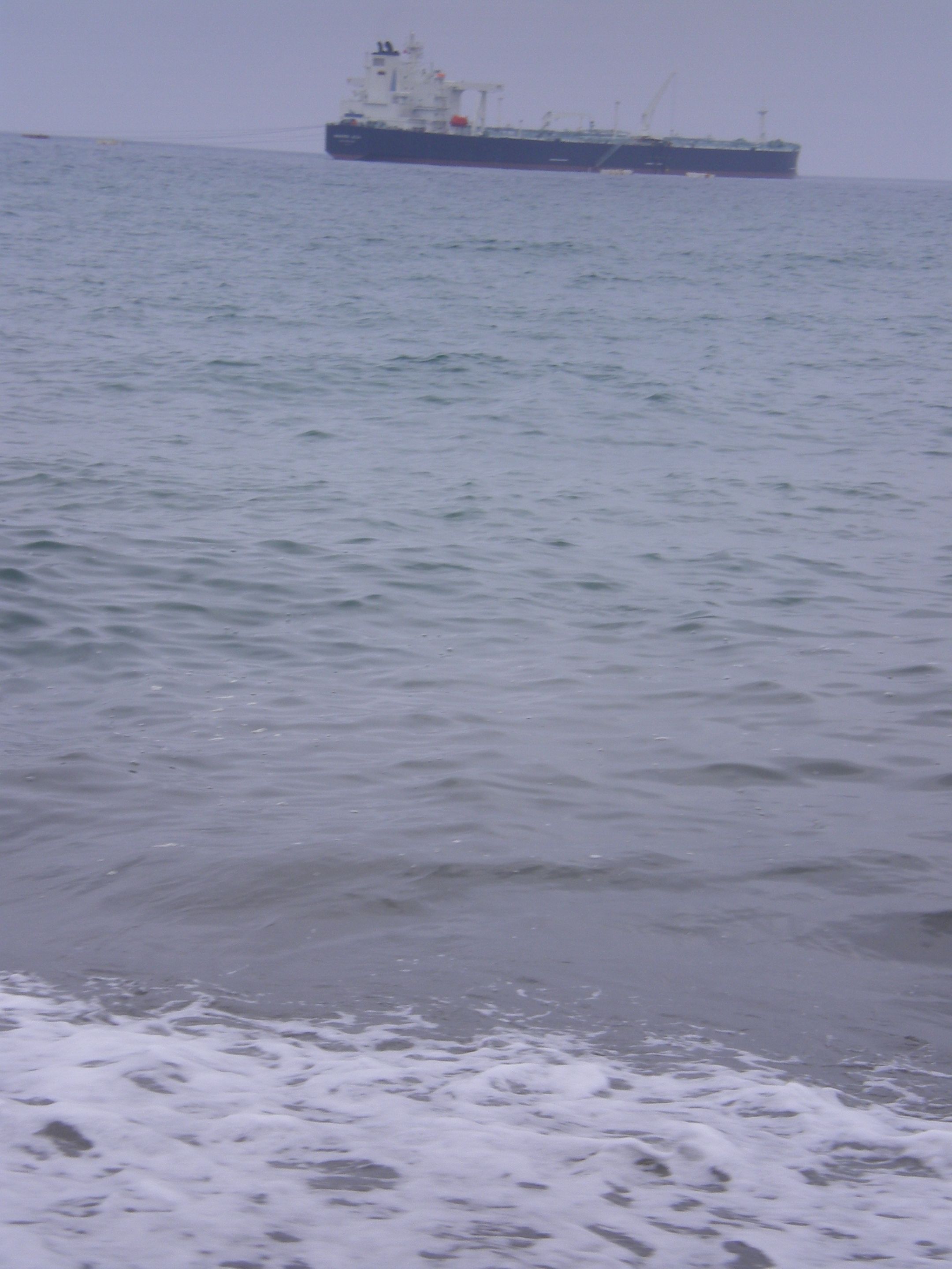 IMGP0716.JPG