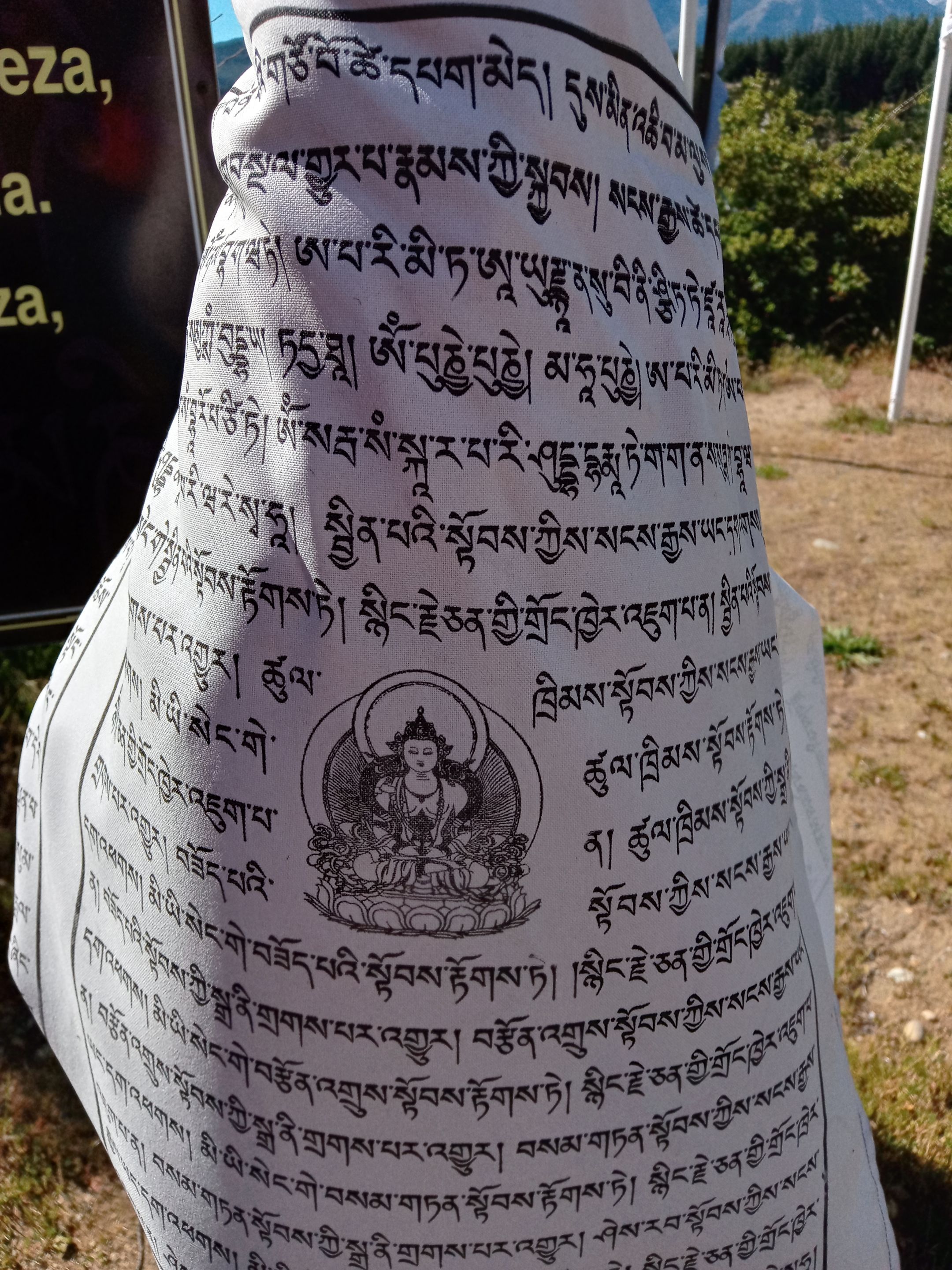287.-20211101_163852_HDR.jpg