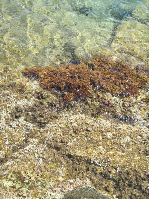323.-SARDEGNA 2009 309.-717.jpg