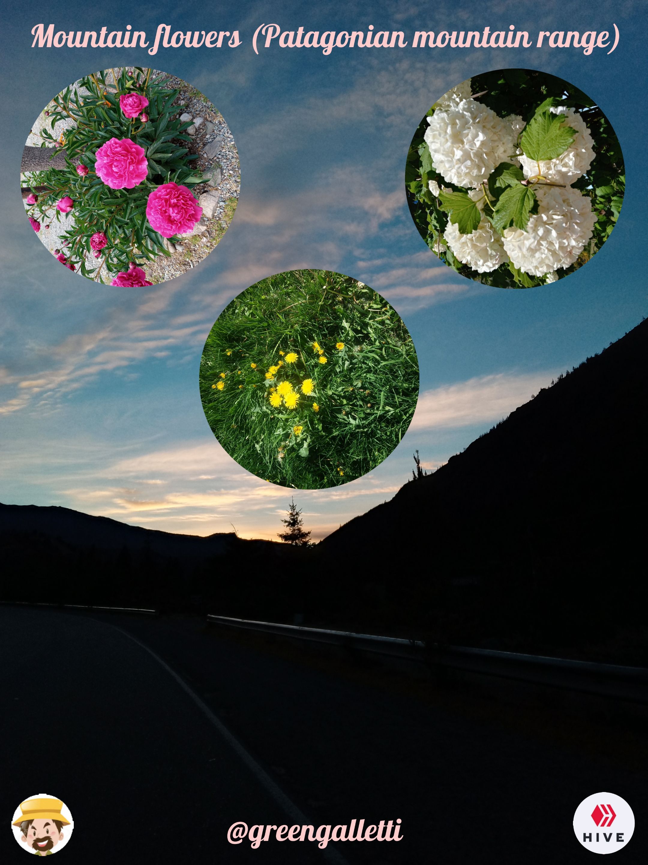 285.-Imagen-inicial-post-con-collage.jpg