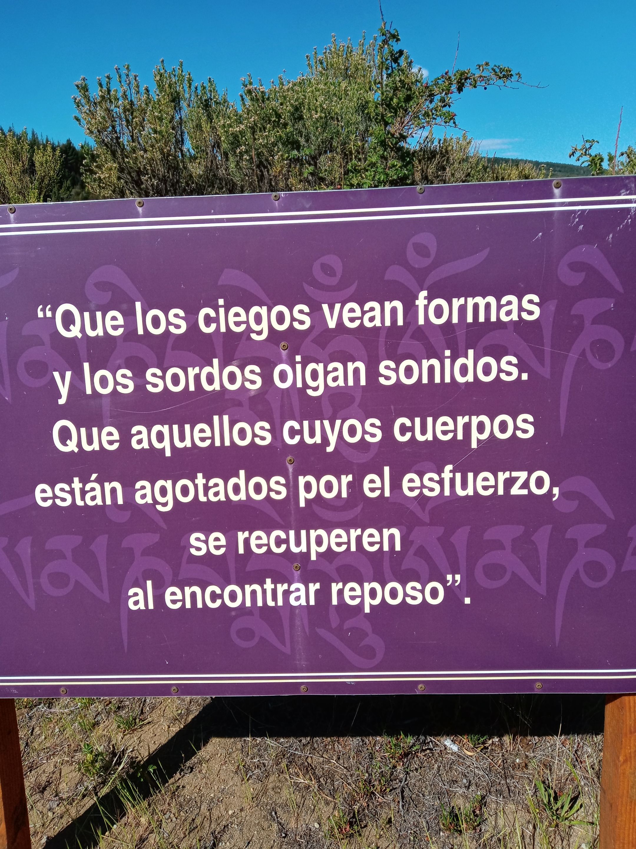 287.-20211101_163534_HDR.jpg