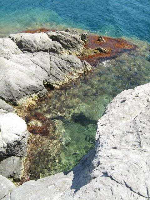 309.-SARDEGNA 2009 735.jpg