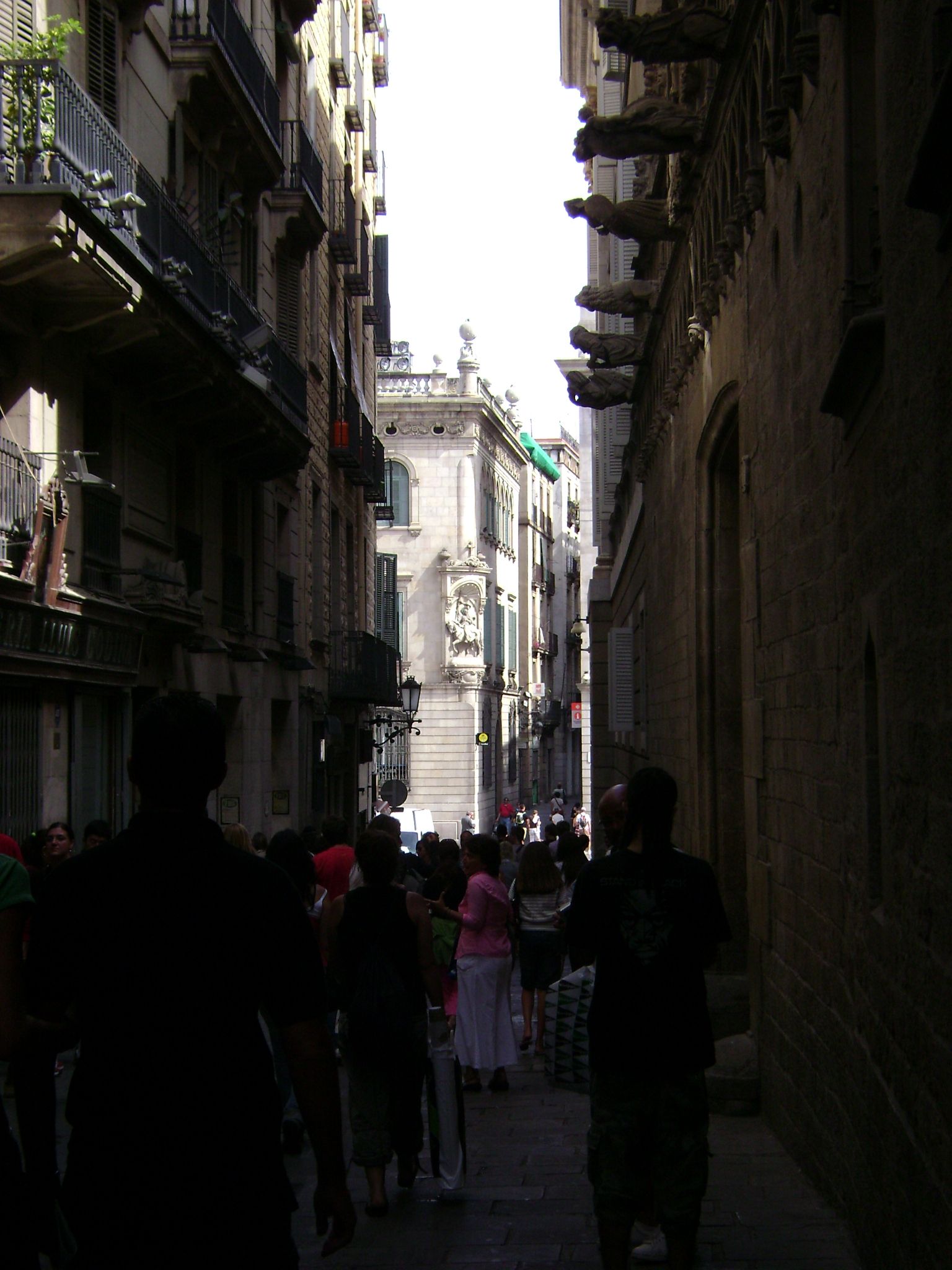 264.-DSC00662.JPG