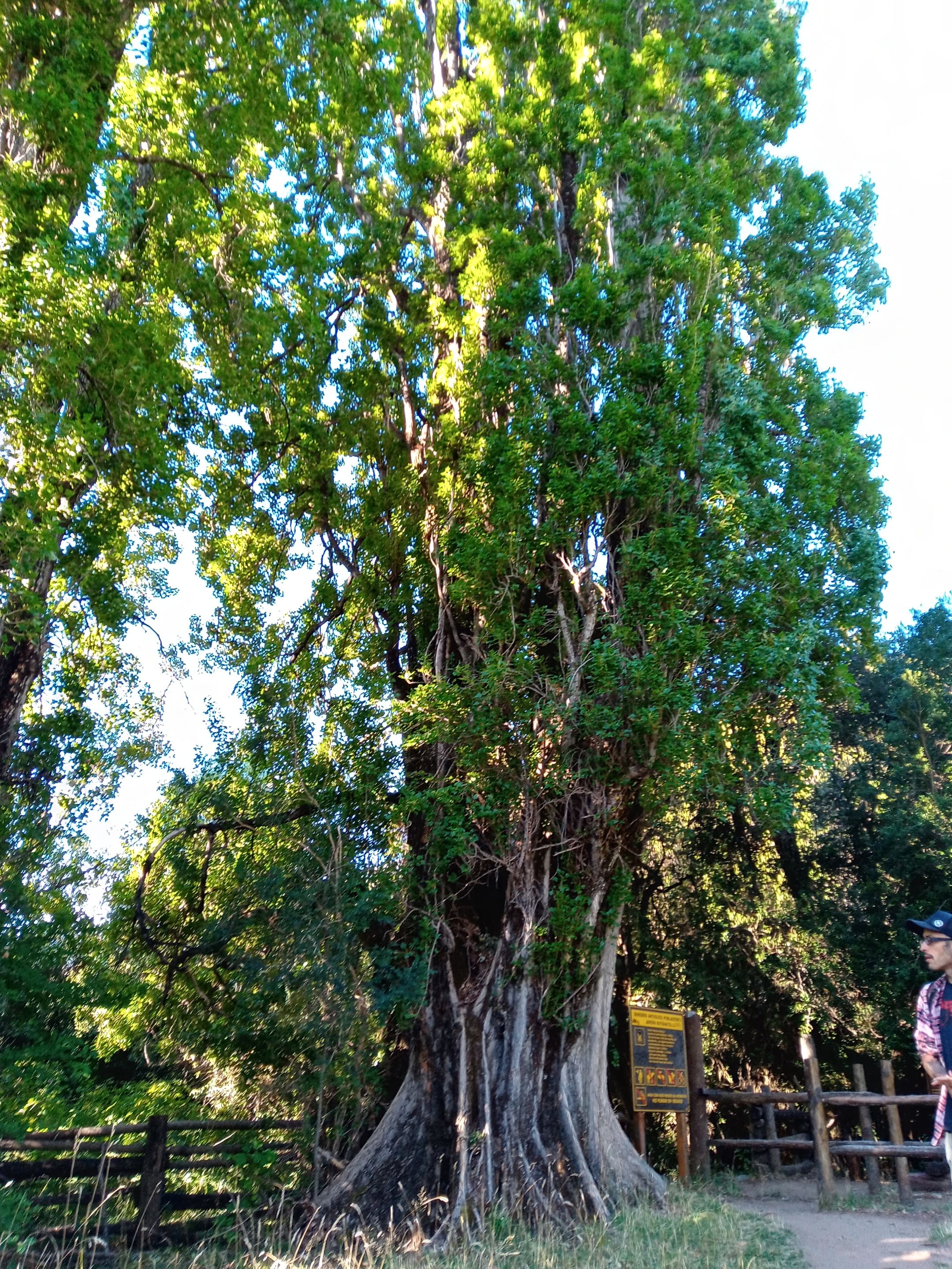 313.-20210324_173450_HDR.jpg