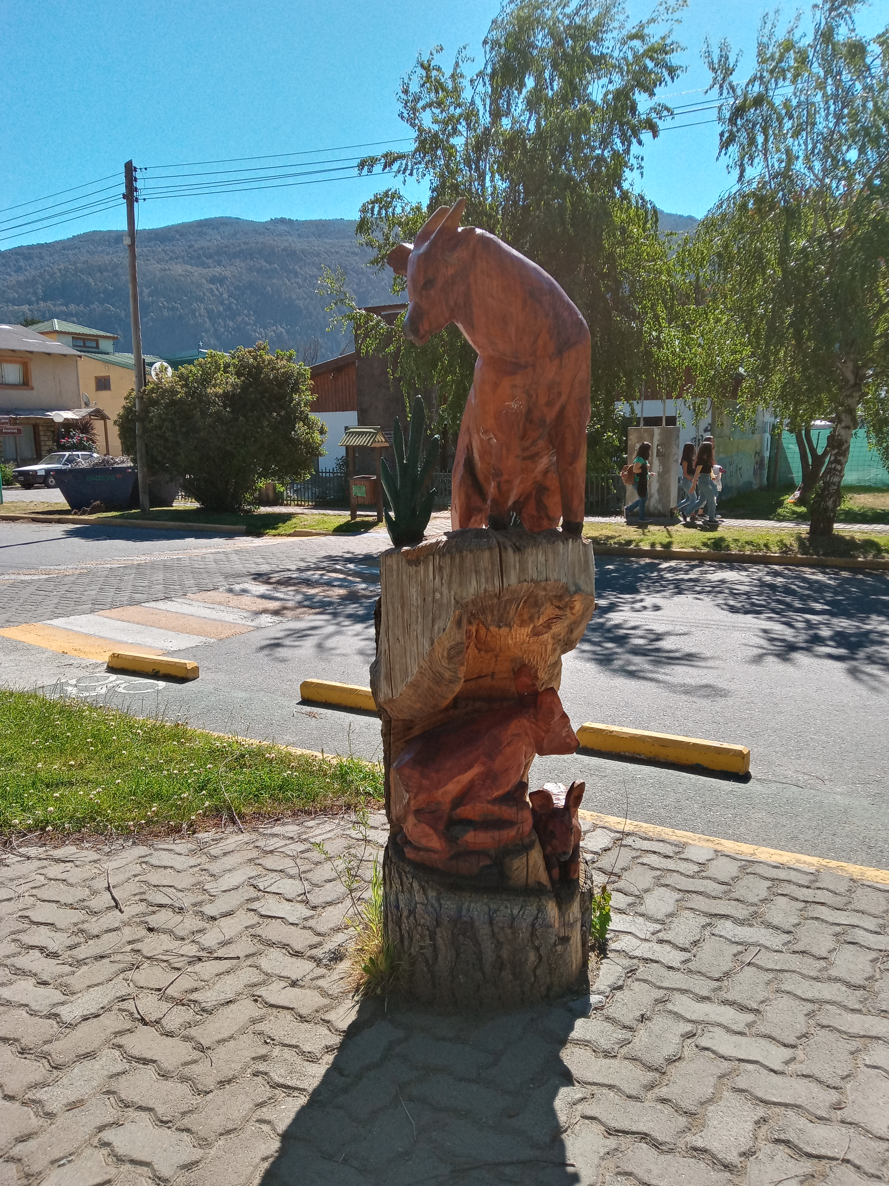 282.-20211106_161926_HDR.jpg