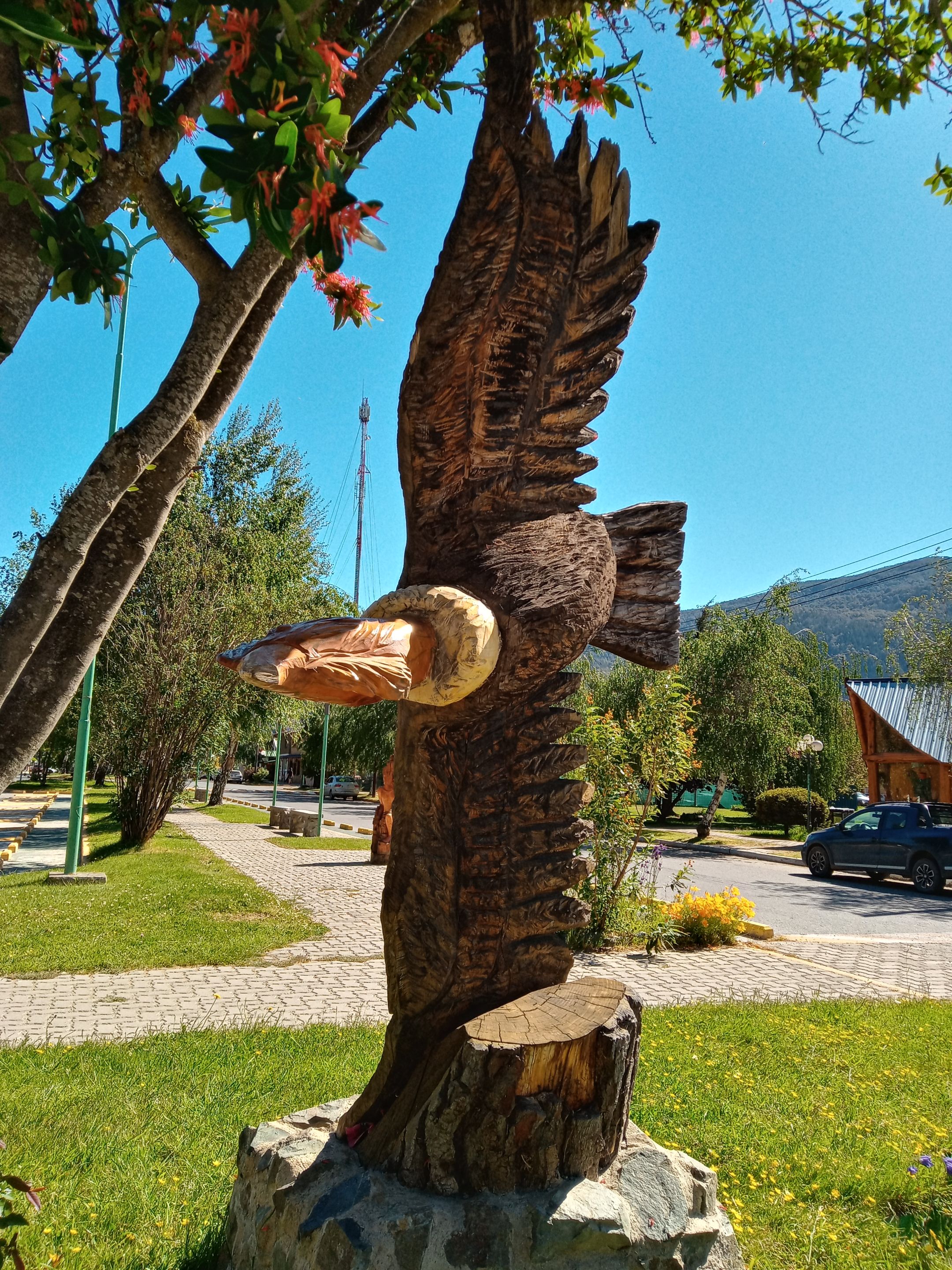 282.-20211106_162201_HDR.jpg