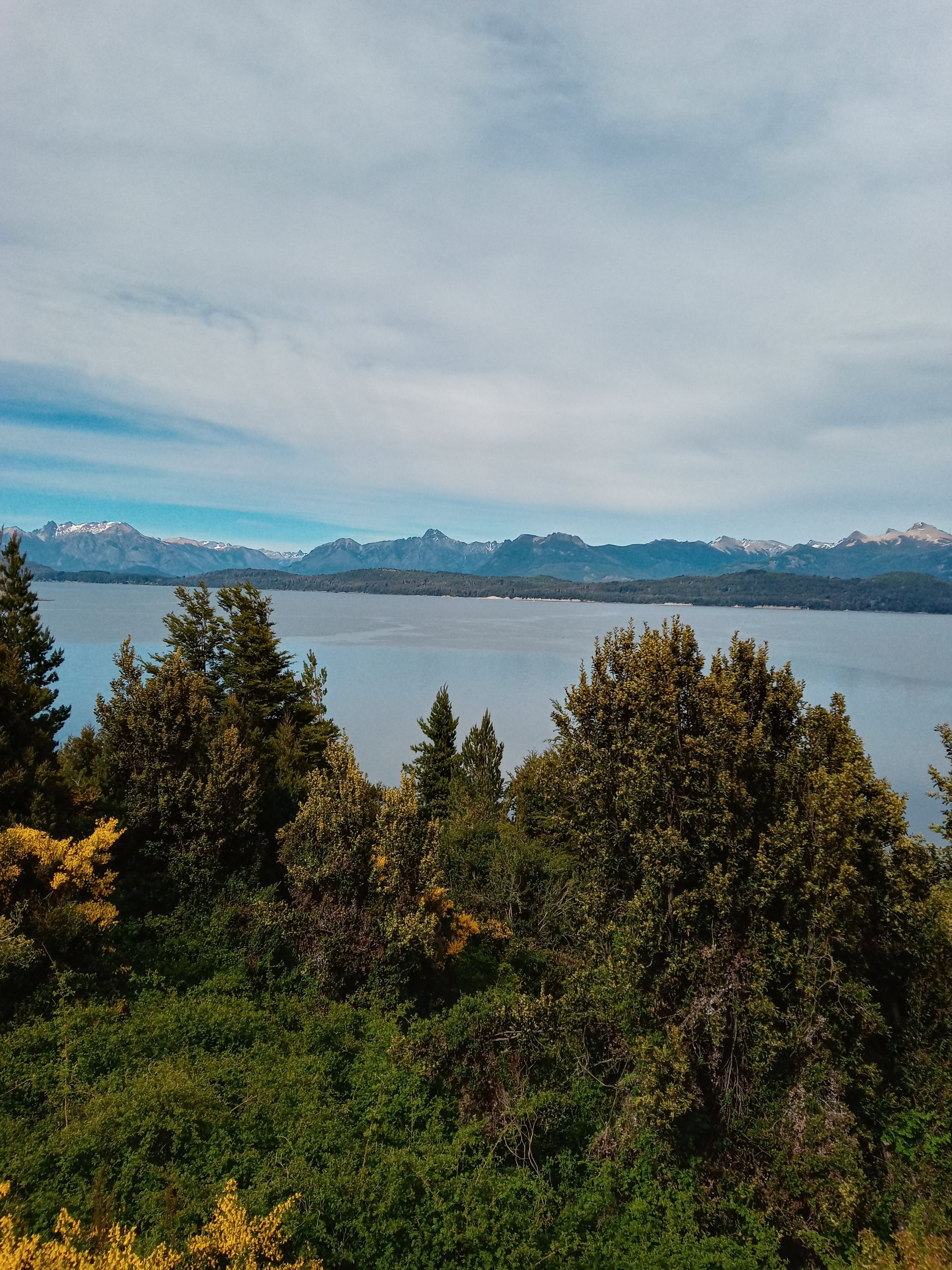 300.-20211111_102312_HDR.jpg