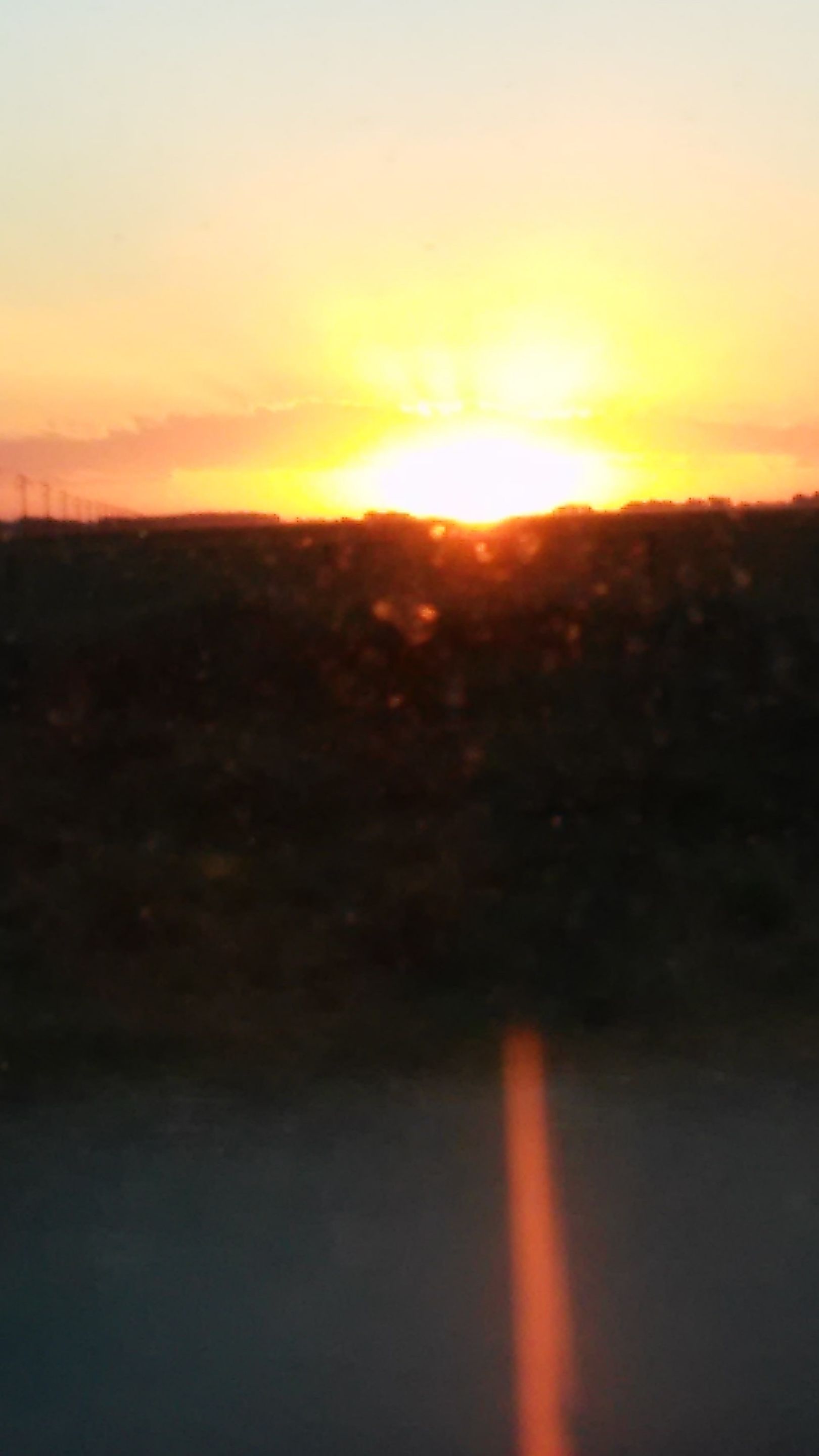 20170103_202855.jpg