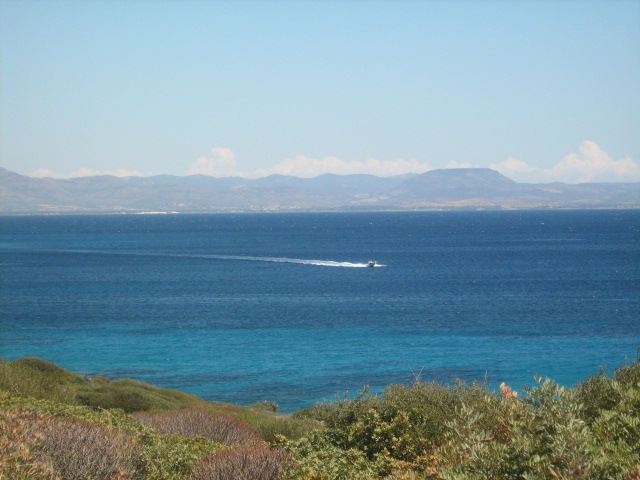 323.-Sardegna 419.jpg